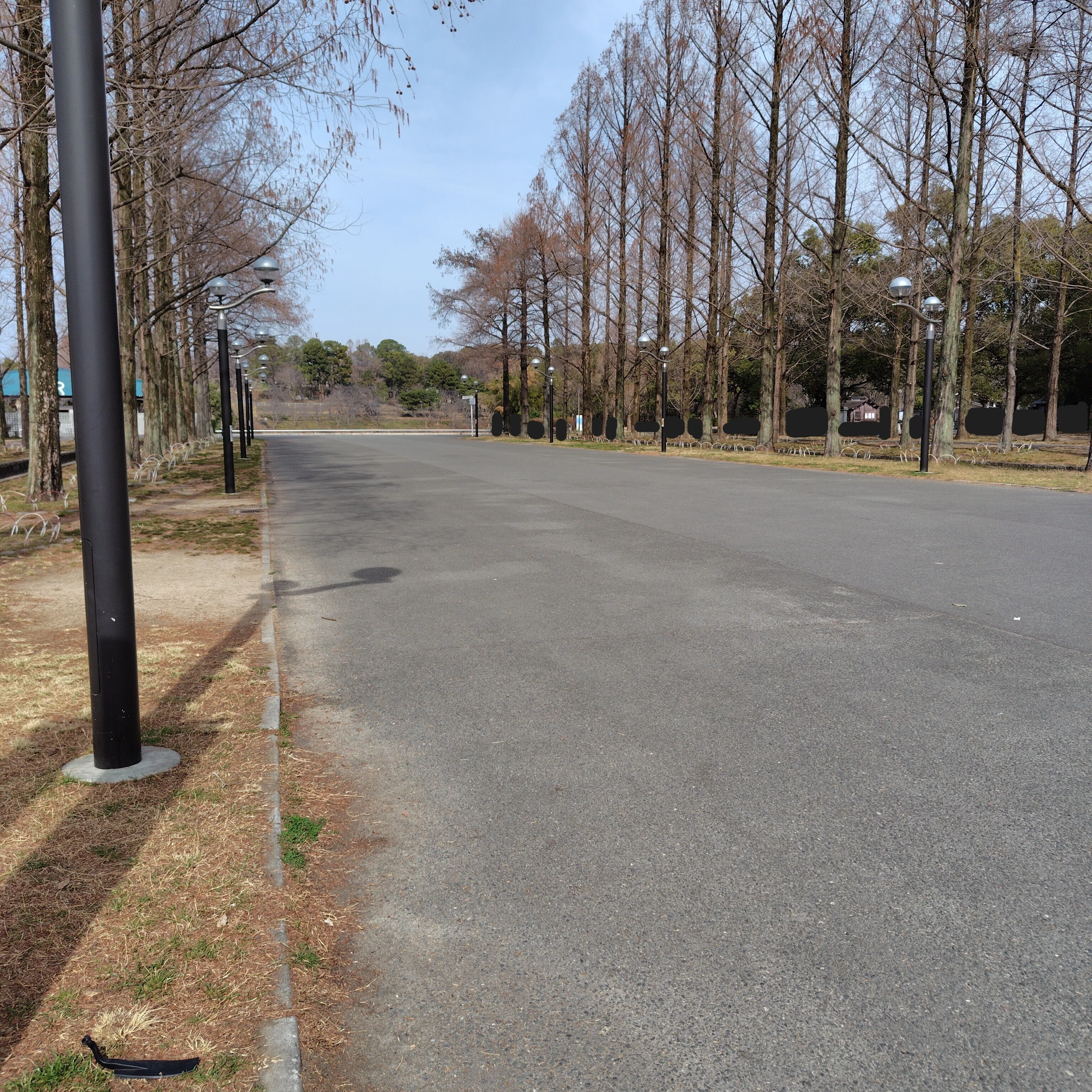 インターバル速歩®オススメスポット紹介～花博記念公園 鶴見緑地