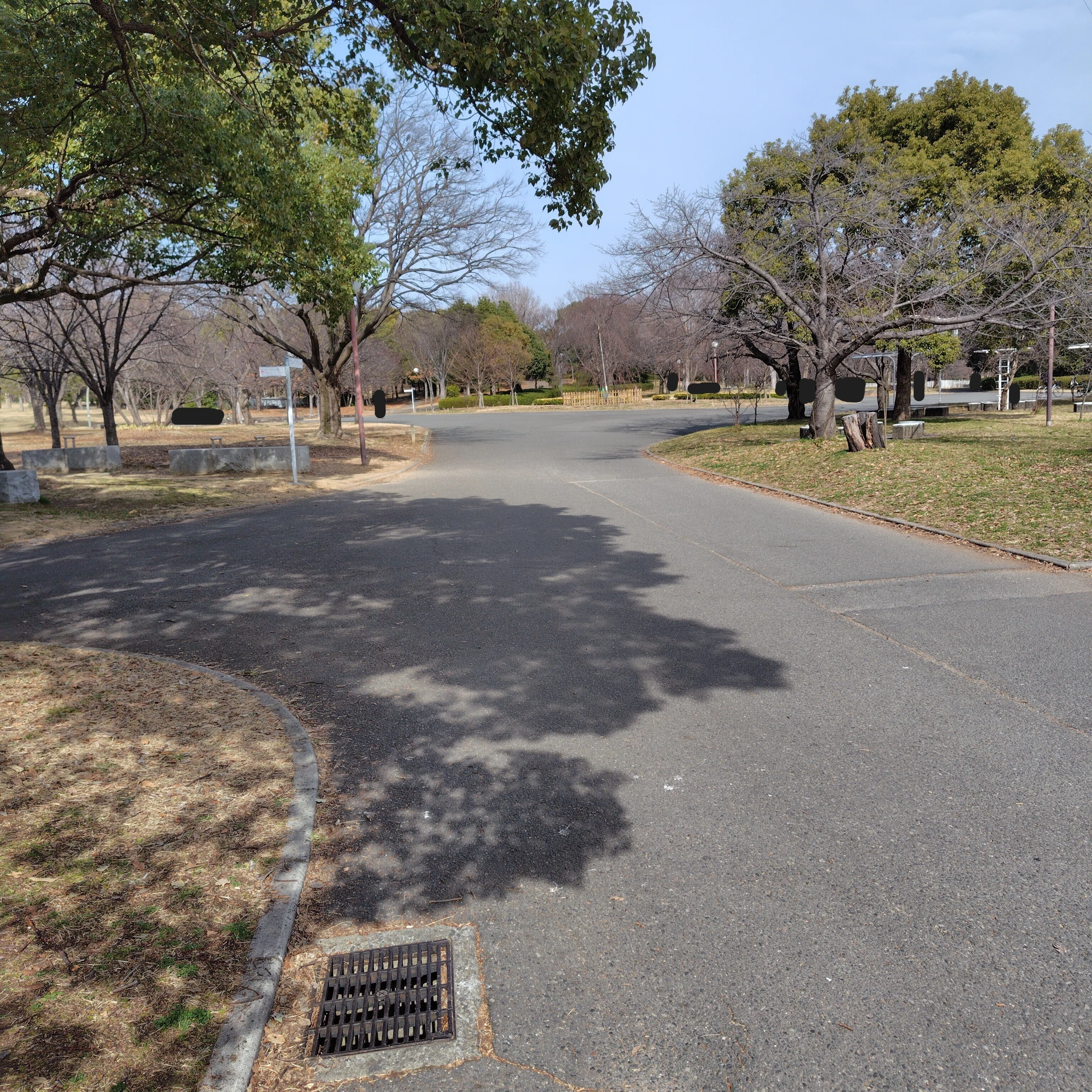 インターバル速歩®オススメスポット紹介～花博記念公園 鶴見緑地