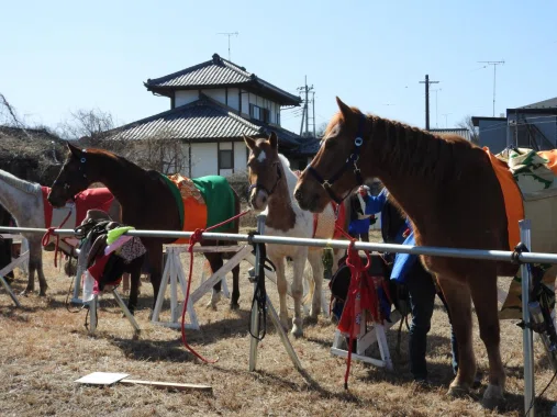 お馬さんは可愛い｜夢一文
