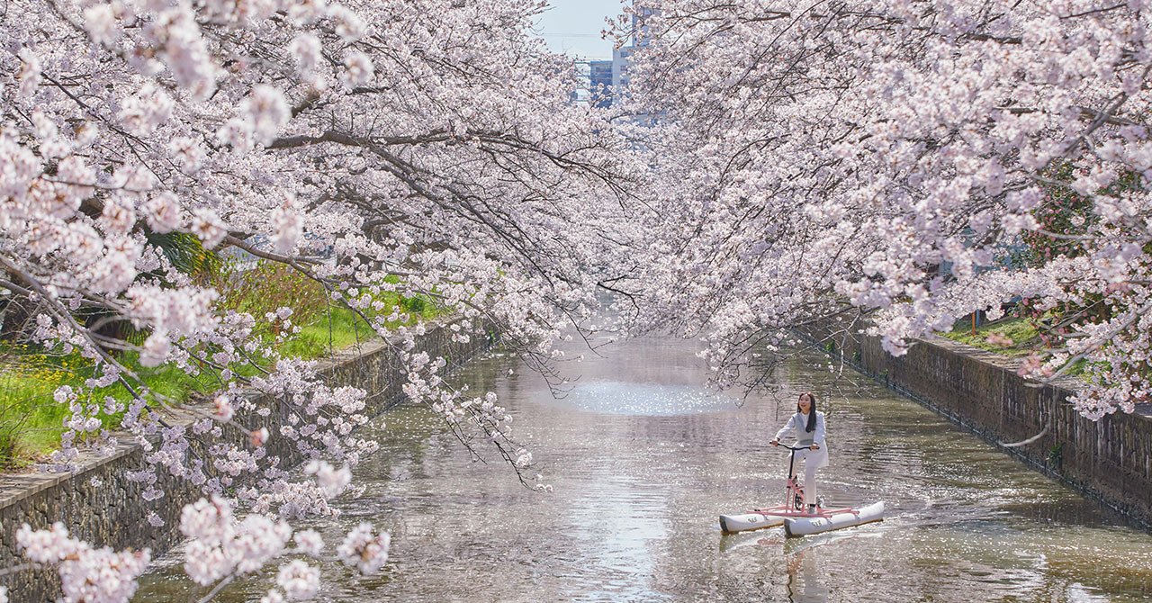 BEB5土浦】 桜のトンネルを水上サイクリング。 春限定「新川お花見