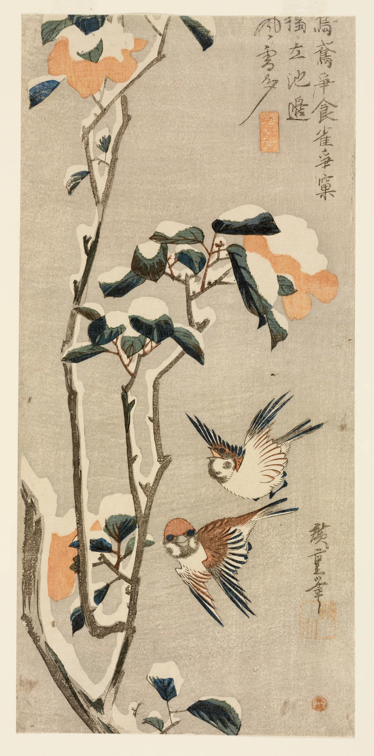 花鳥版画展」出品作②歌川広重《雪中椿に雀》天保3-6（1832-35）年 