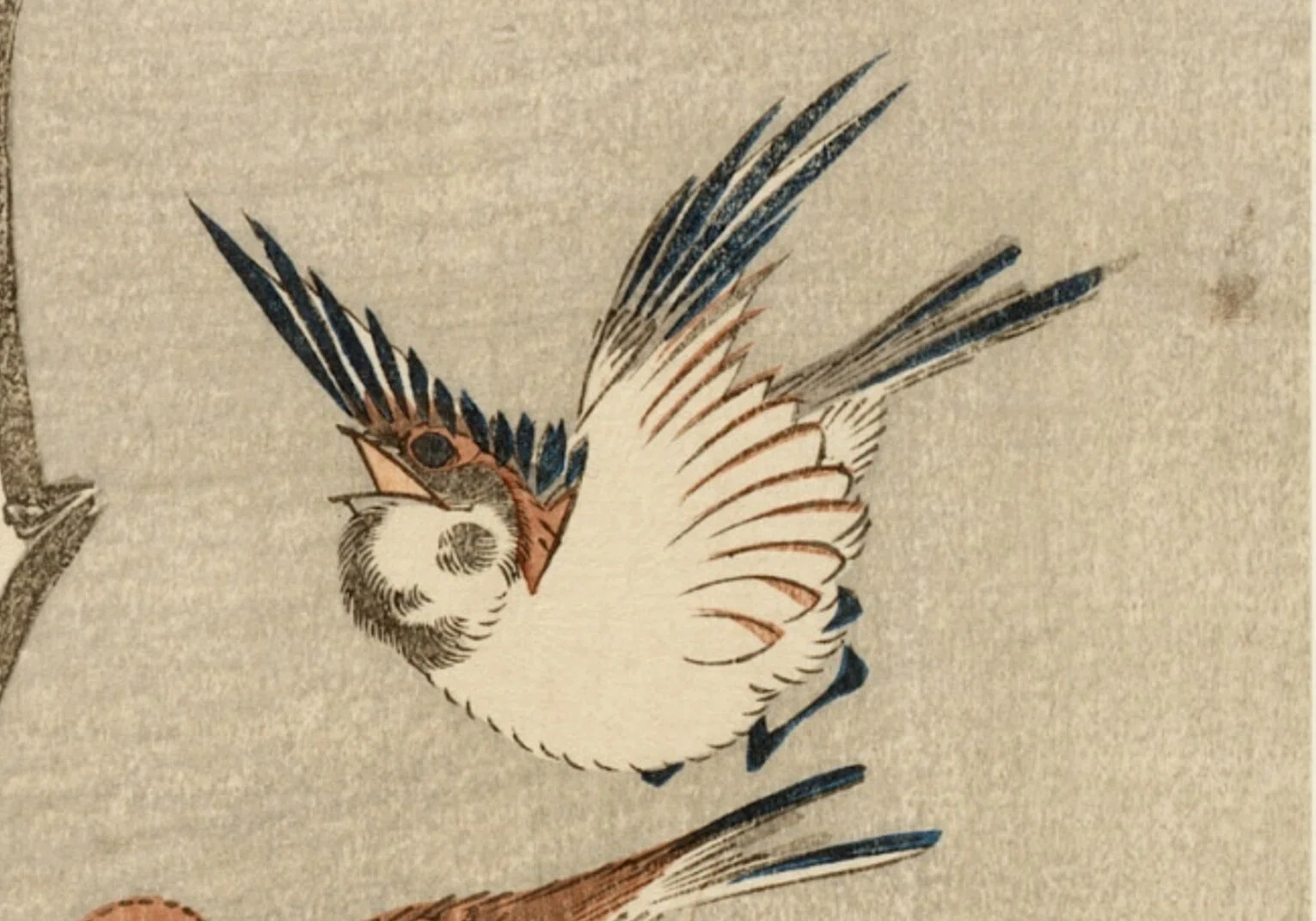 花鳥版画展」出品作②歌川広重《雪中椿に雀》天保3-6（1832-35）年