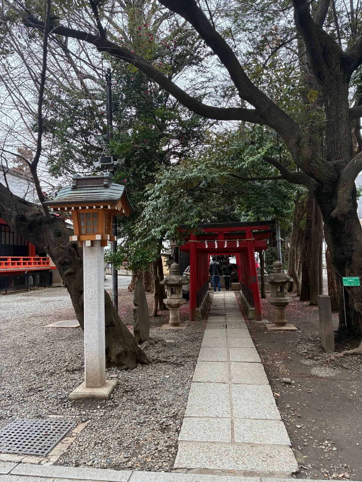 花園神社 芸能浅間神社@新宿|traveler2025
