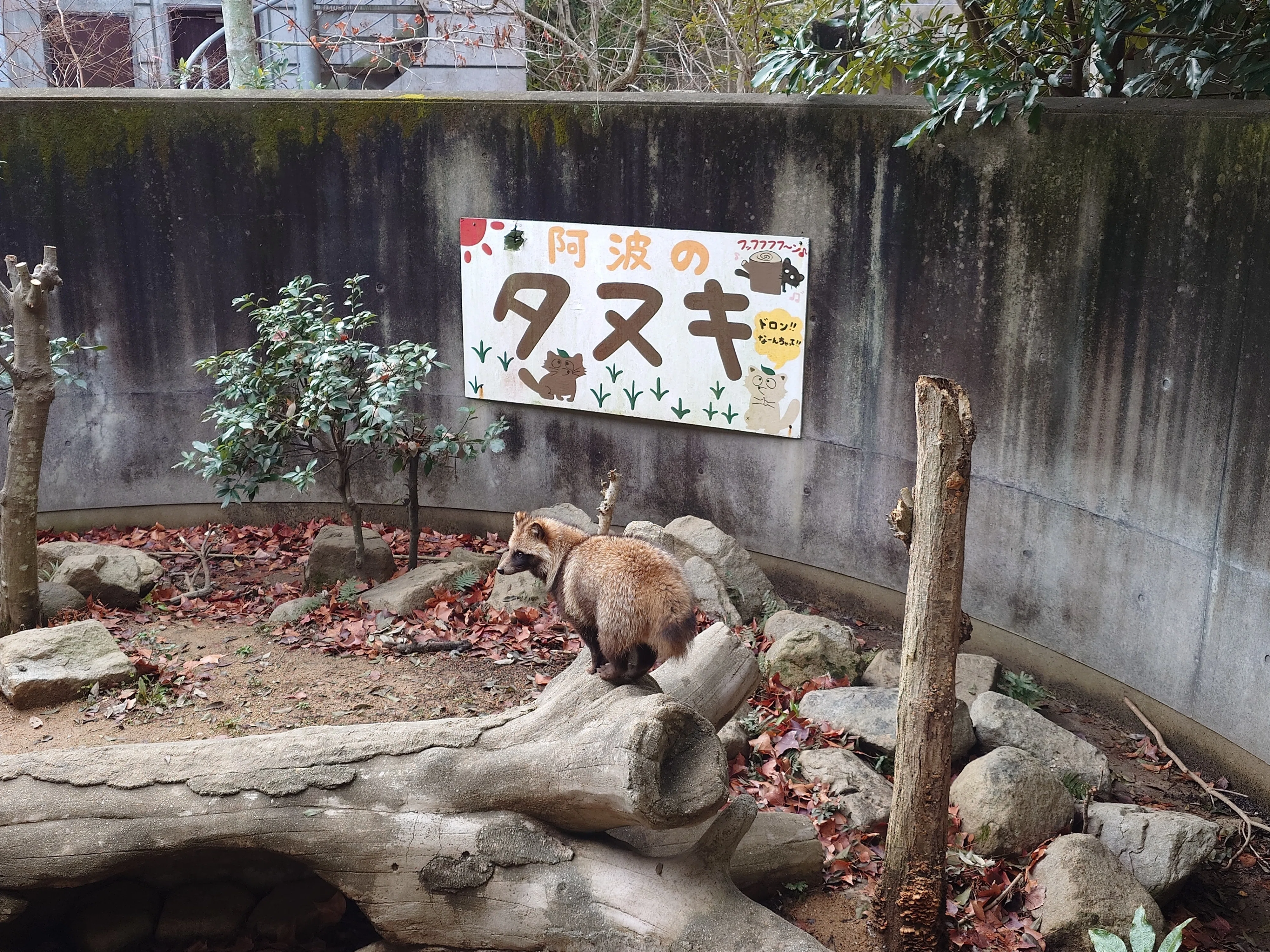 2026/2/26 とくしま動物園ですよ｜始祖鳥堂まふ（M.A.F.）