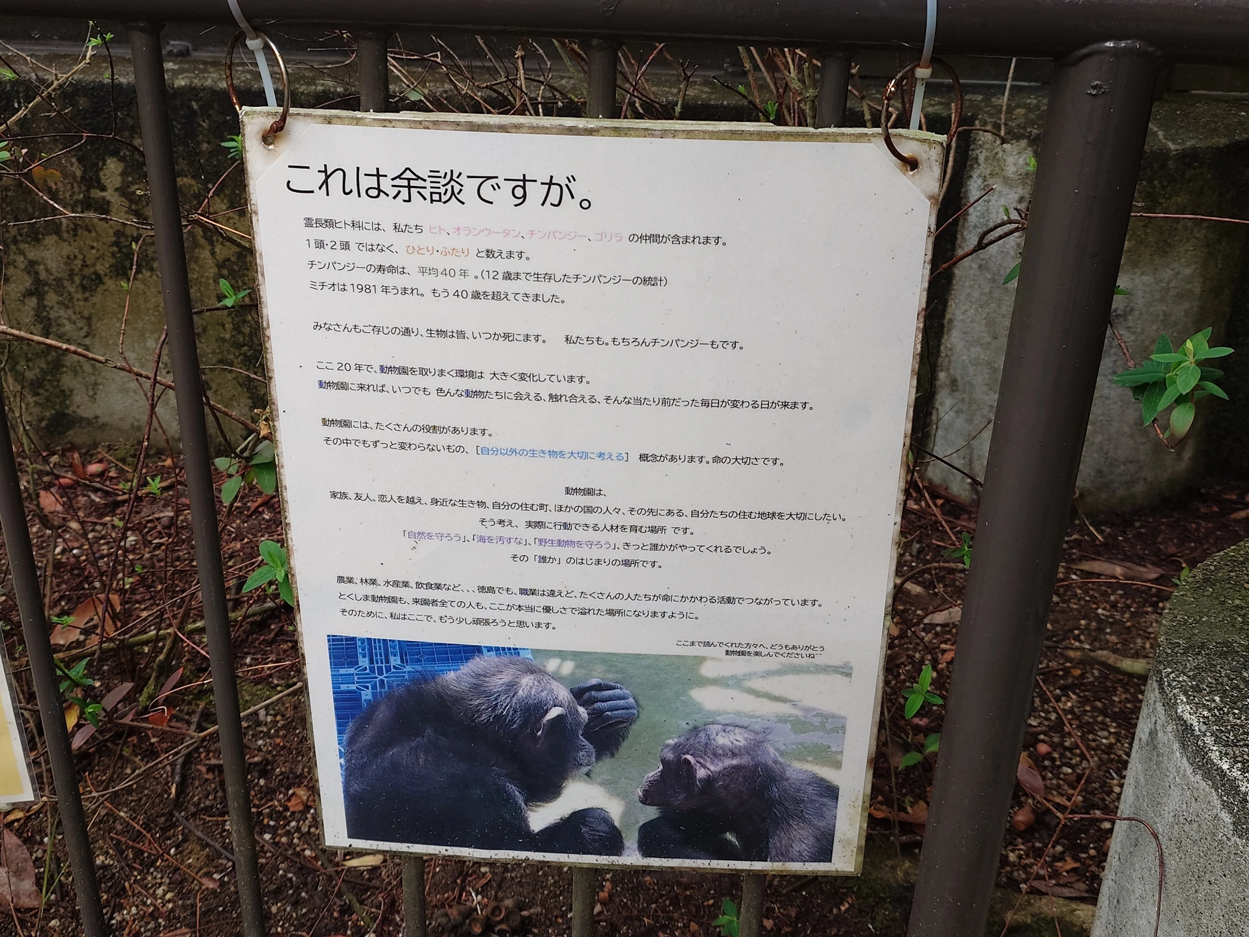 2026/2/26 とくしま動物園ですよ｜始祖鳥堂まふ（M.A.F.）