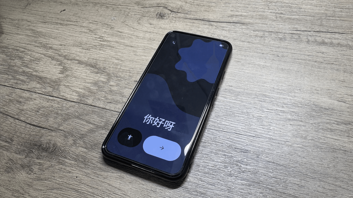 Evolution X】Pixel 5にAndroid16 QPR1のカスタムROM「Evolution X」を