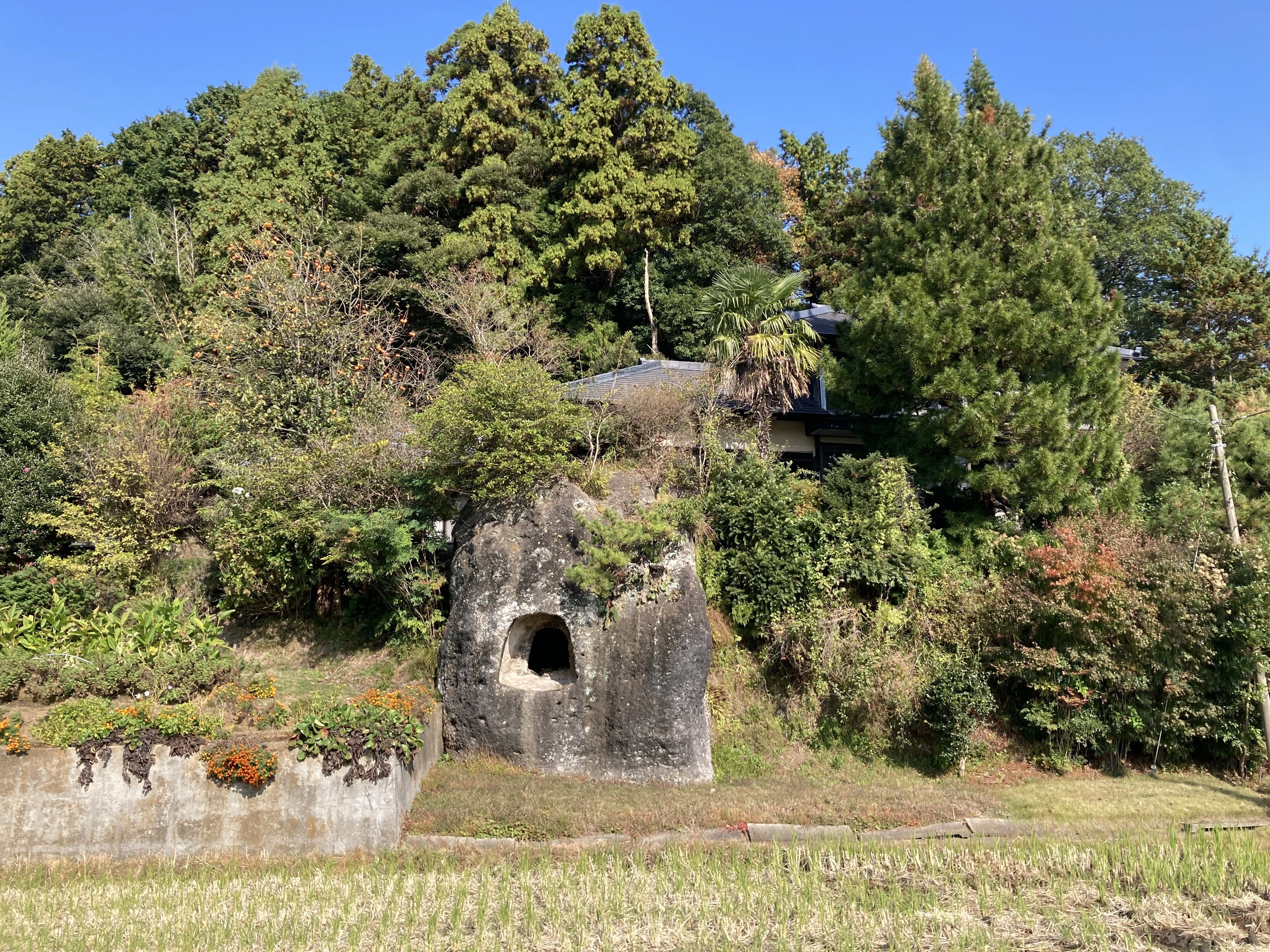 古代遺跡を巡る旅①】 時空を超えたデザイン ― 明治大学博物館から虎塚