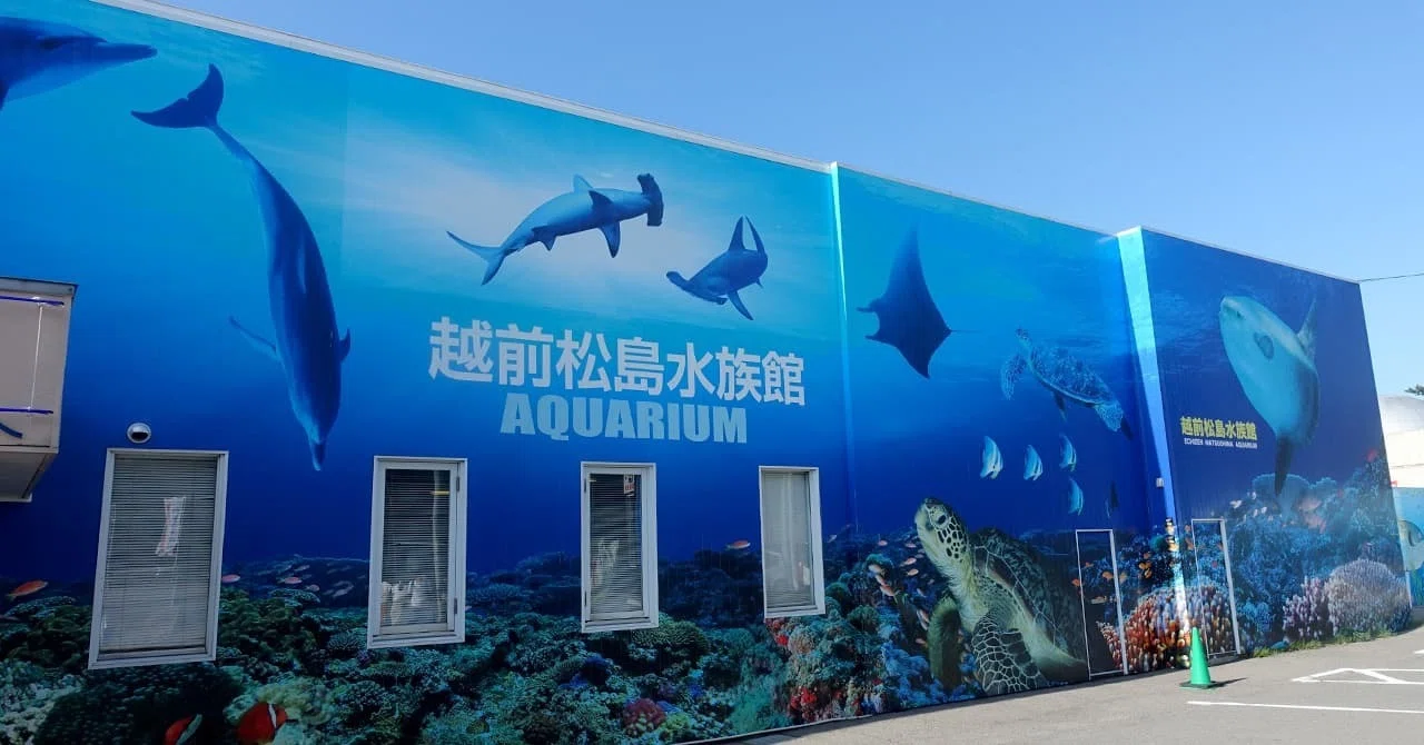 越前松島水族館の割引情報まとめ！チケットはどこで買うのが安い？｜お