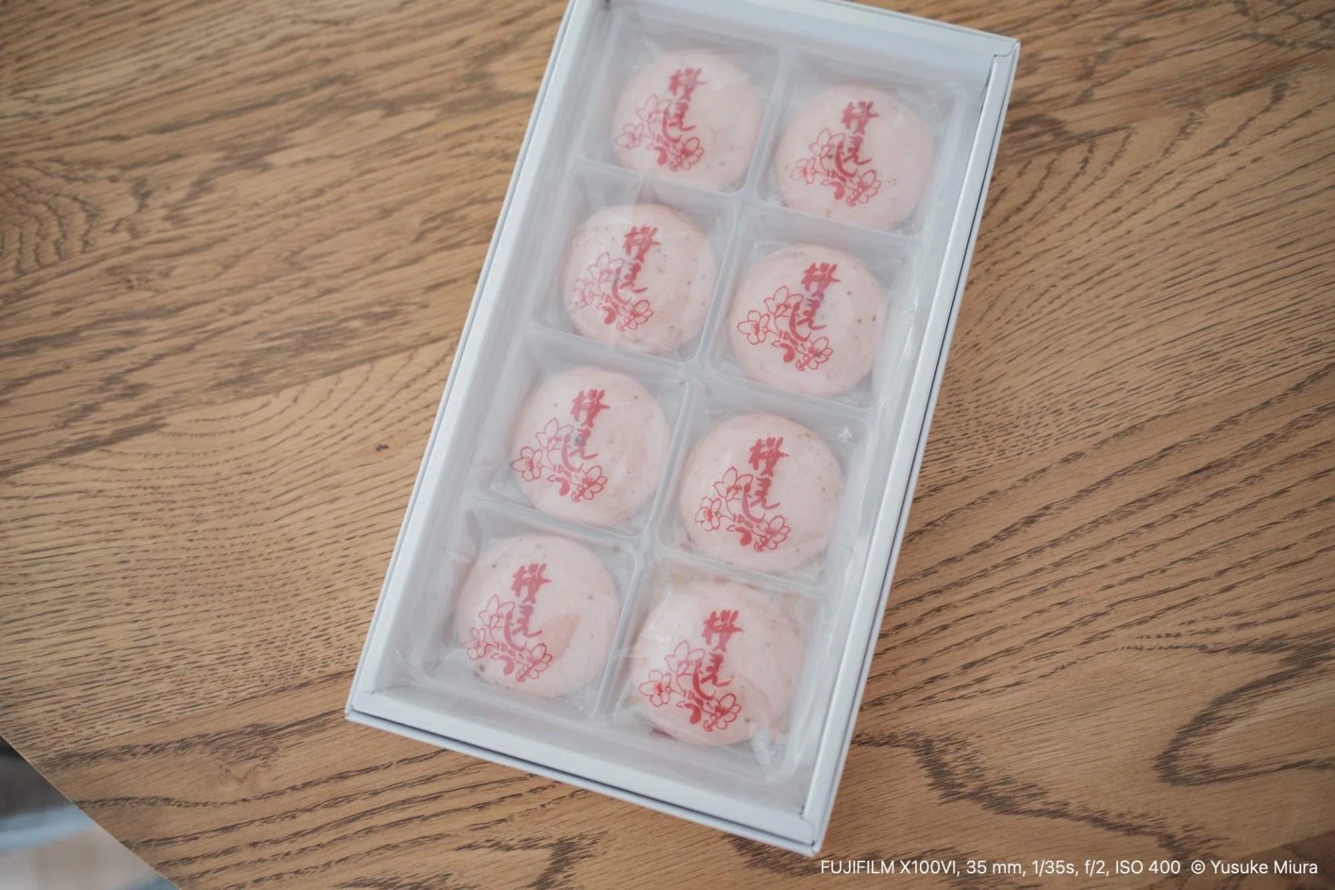 それでも、満開の河津桜を見に行こう｜Yusuke Miura