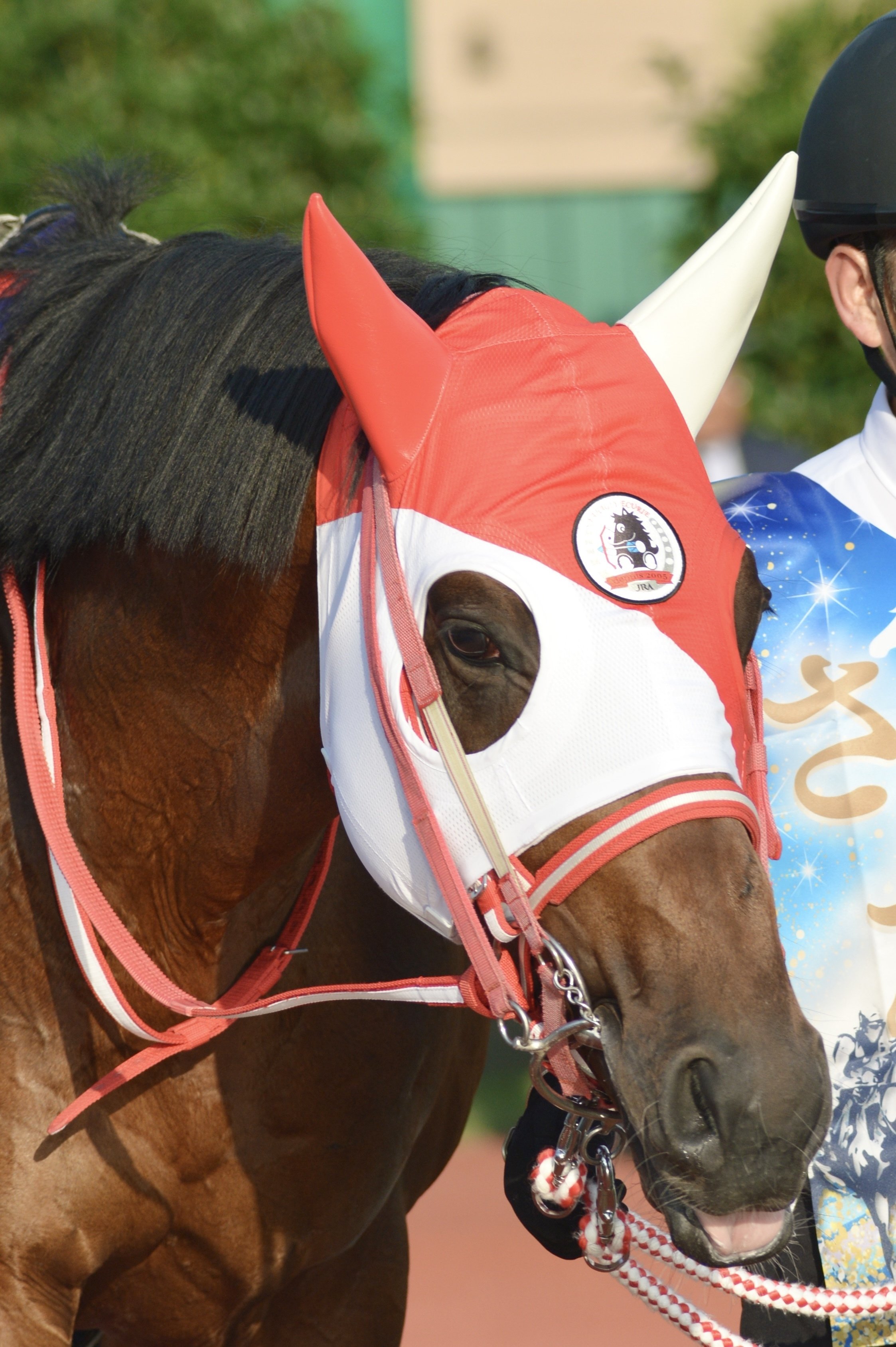 バスラットレオンと私④｜ぽてち