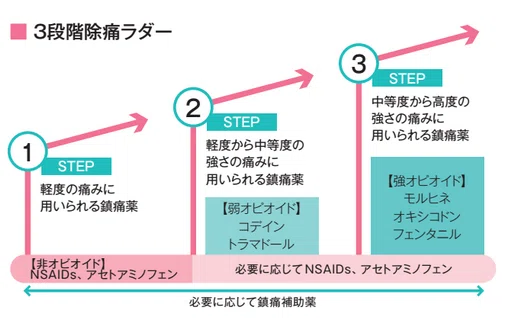 除痛ラダーの説明画像