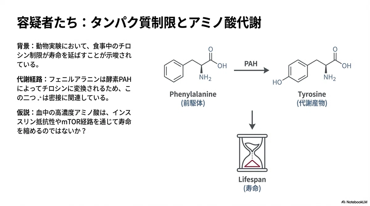 アミノ酸