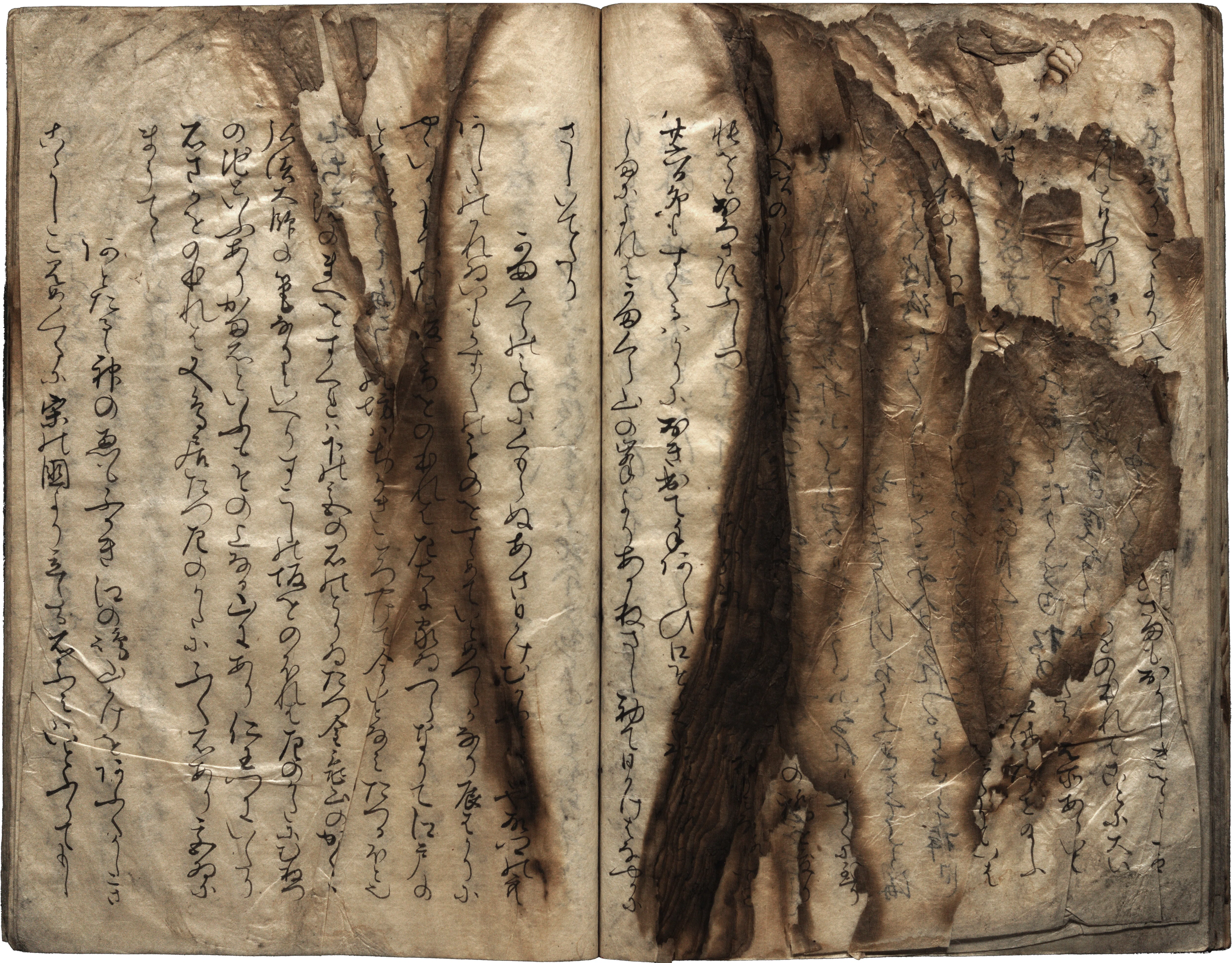 附属図書館特別展2025 #Side A】展示を終えて～資料を守り継いできた