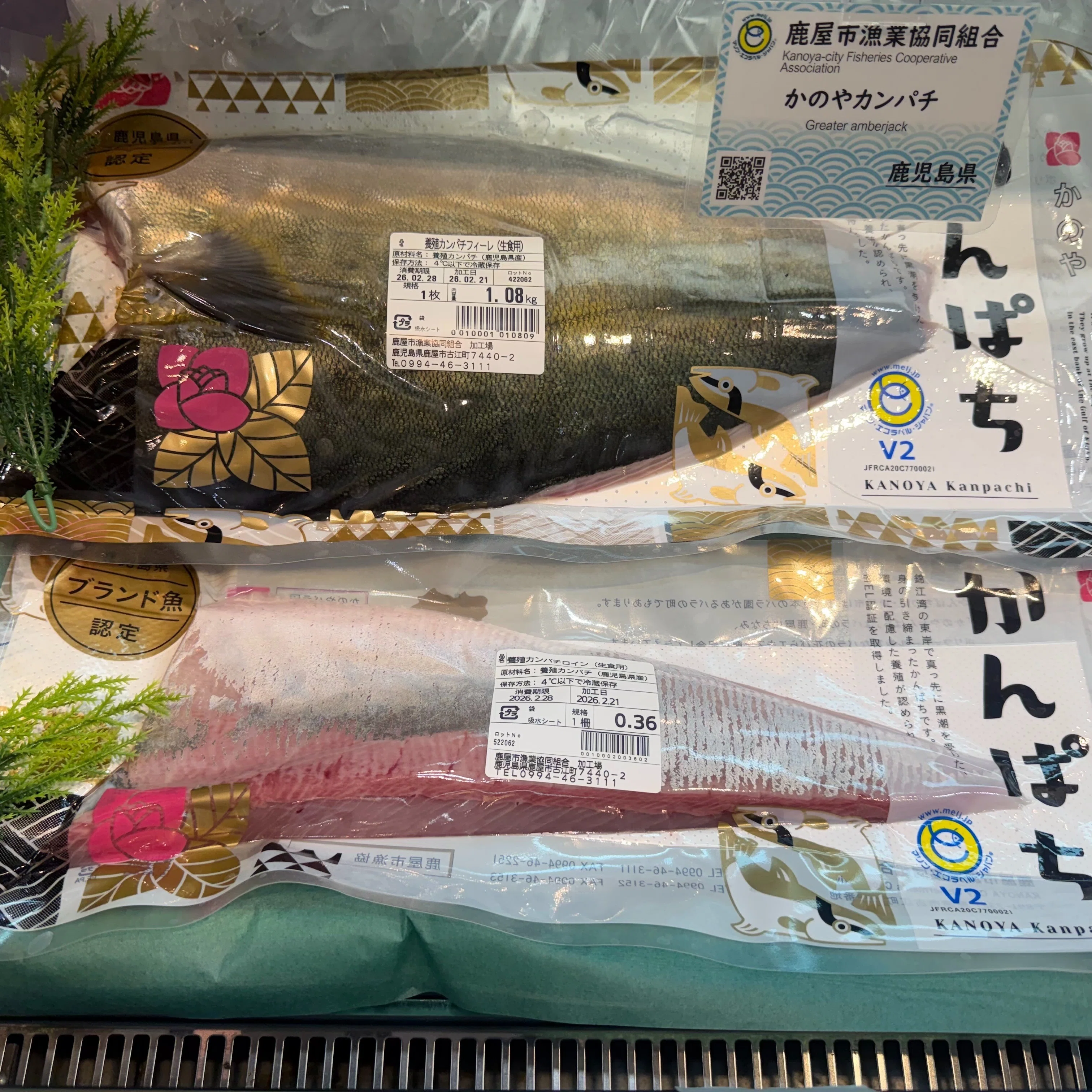 魚♠️プロフをご覧願います♠️　＋500円ゴムベルト MEL認証の取得、活用について（鹿屋市漁業協同組合）｜【公式】MEL