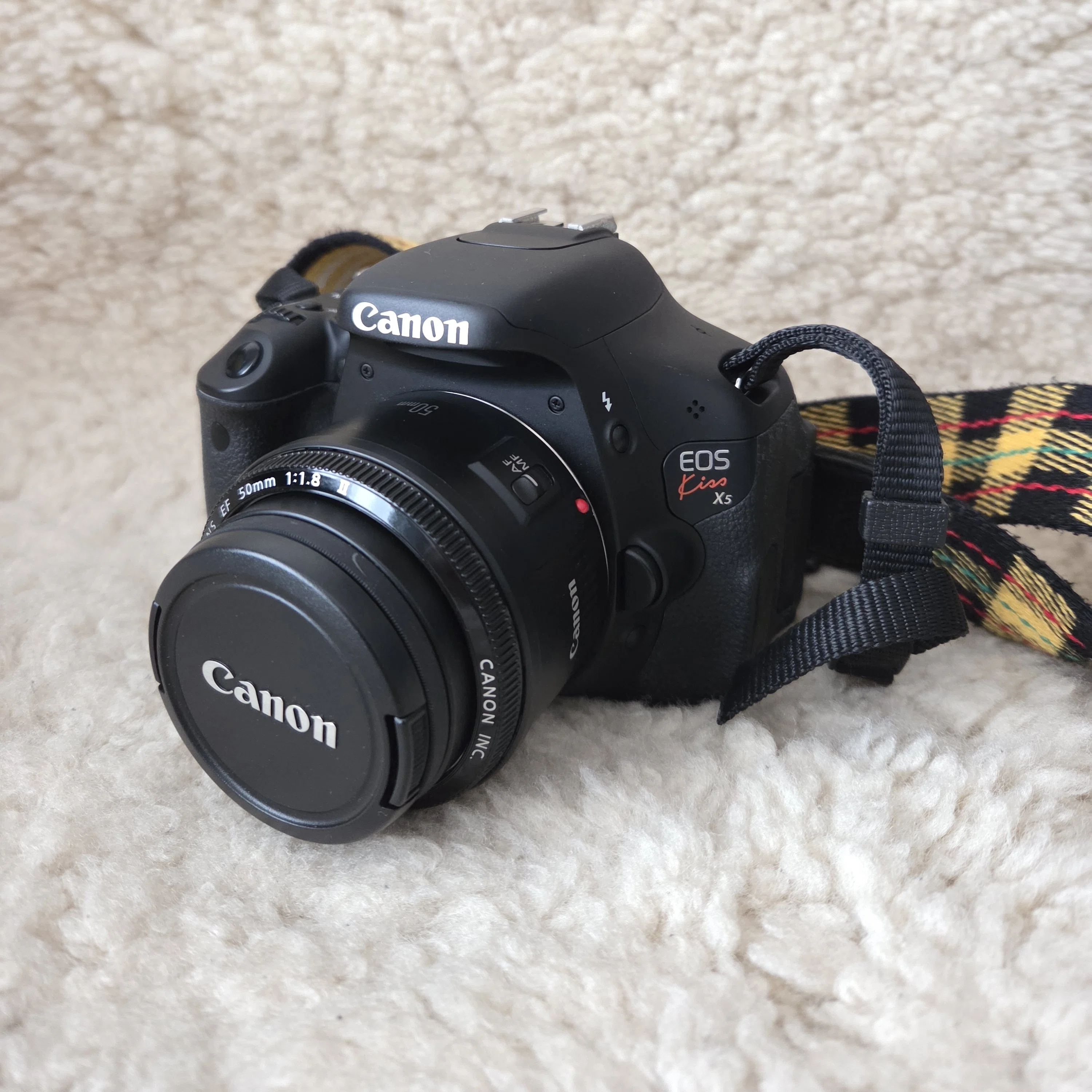 眠っていたEF50mm F1.8 IIで遊んでみた｜ザーボンさん