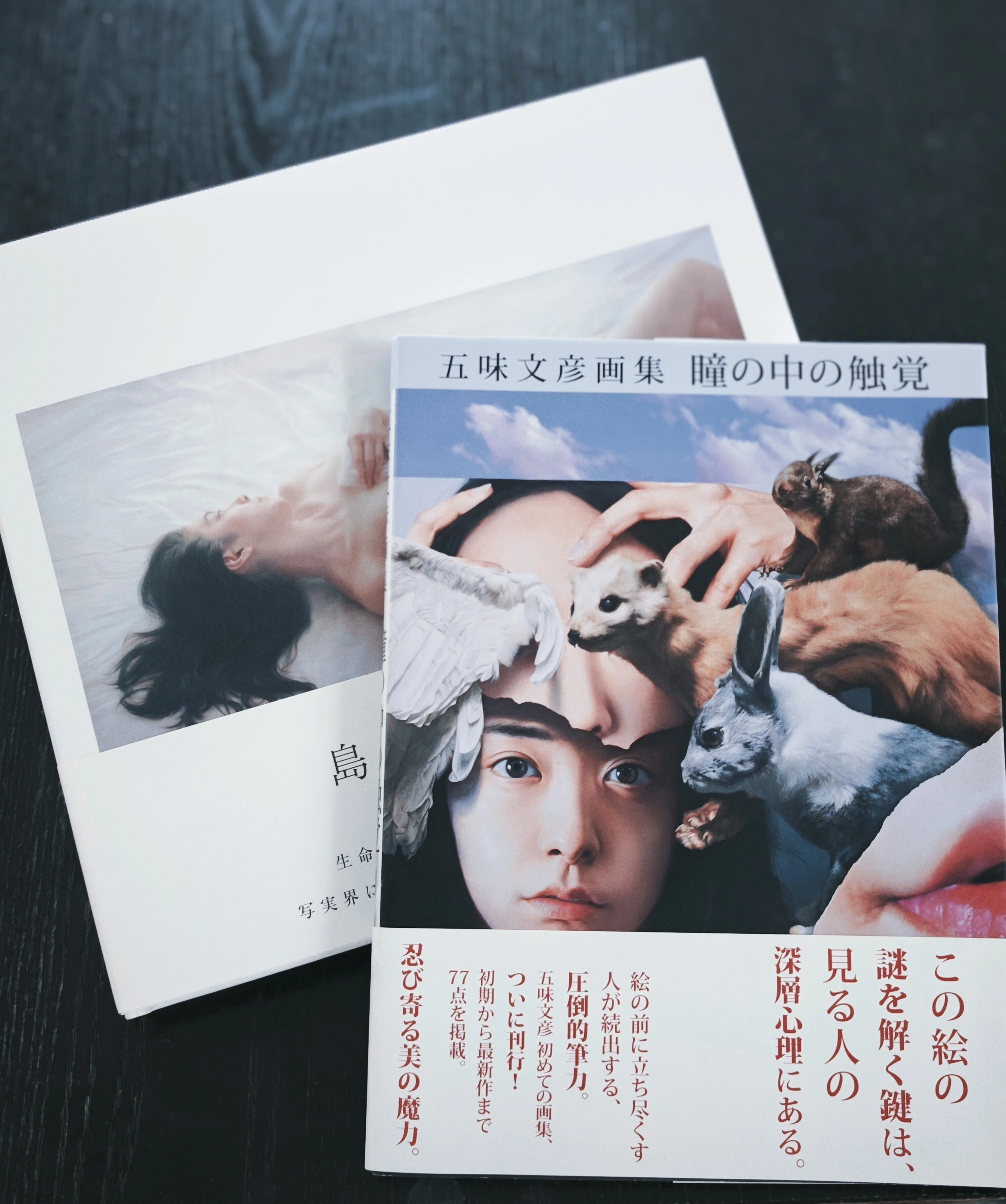 写実絵画専門・ホキ美術館に初訪問！そして推し画家さんとの出会い｜藍