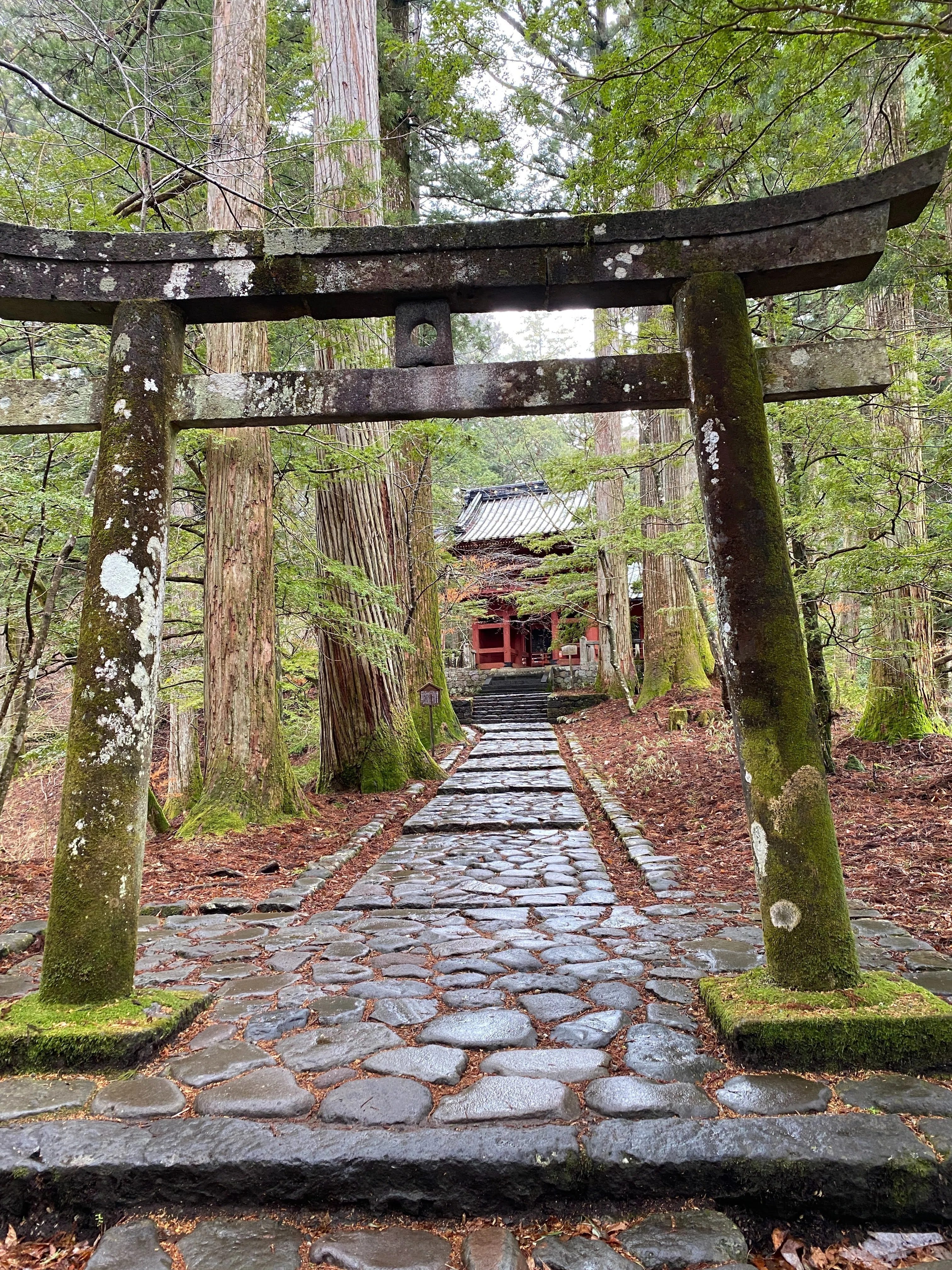 神社仏閣】栃木 「瀧尾神社」鳥居で運を試す旅｜のんき