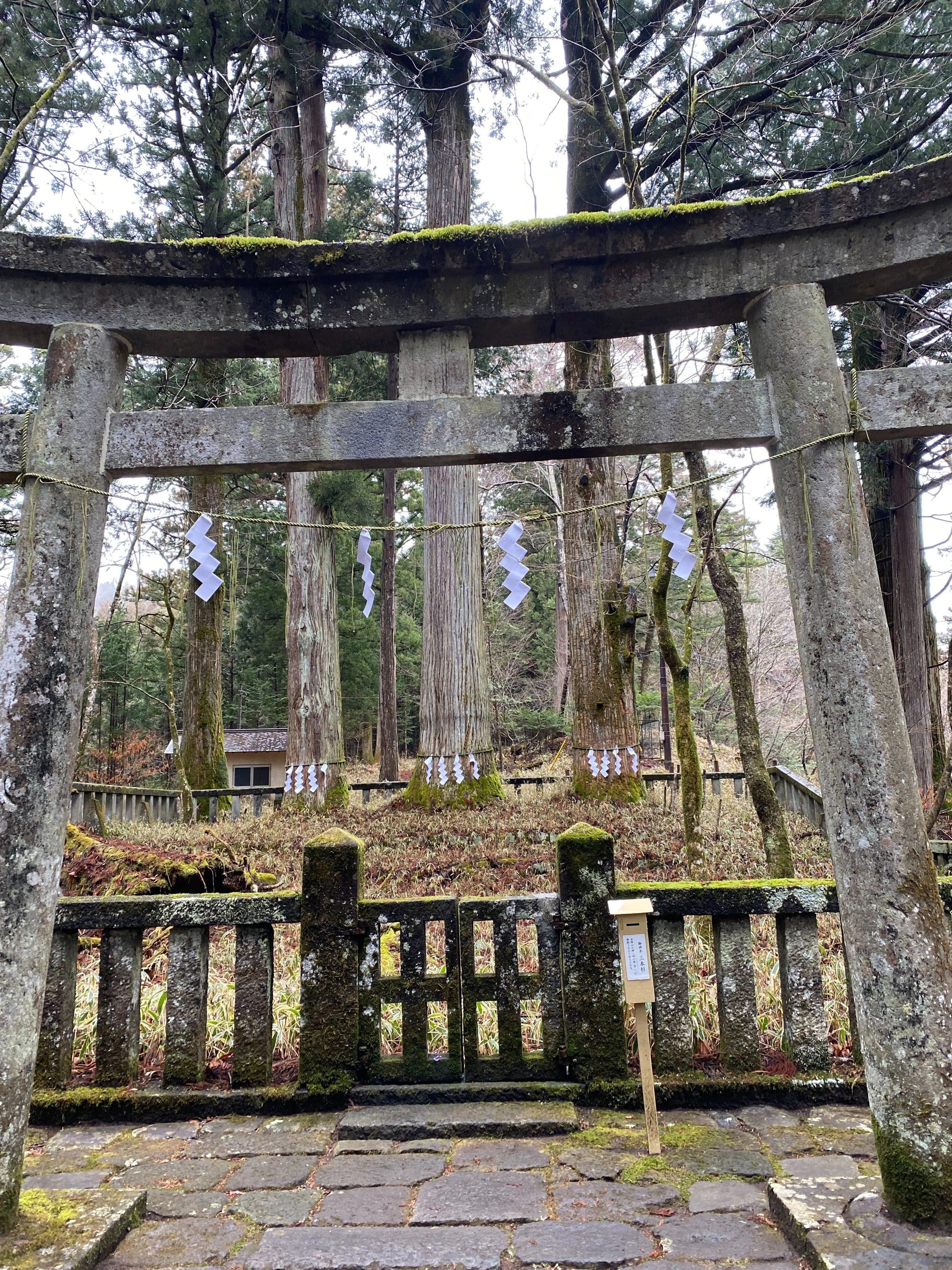 神社仏閣】栃木 「瀧尾神社」鳥居で運を試す旅｜のんき