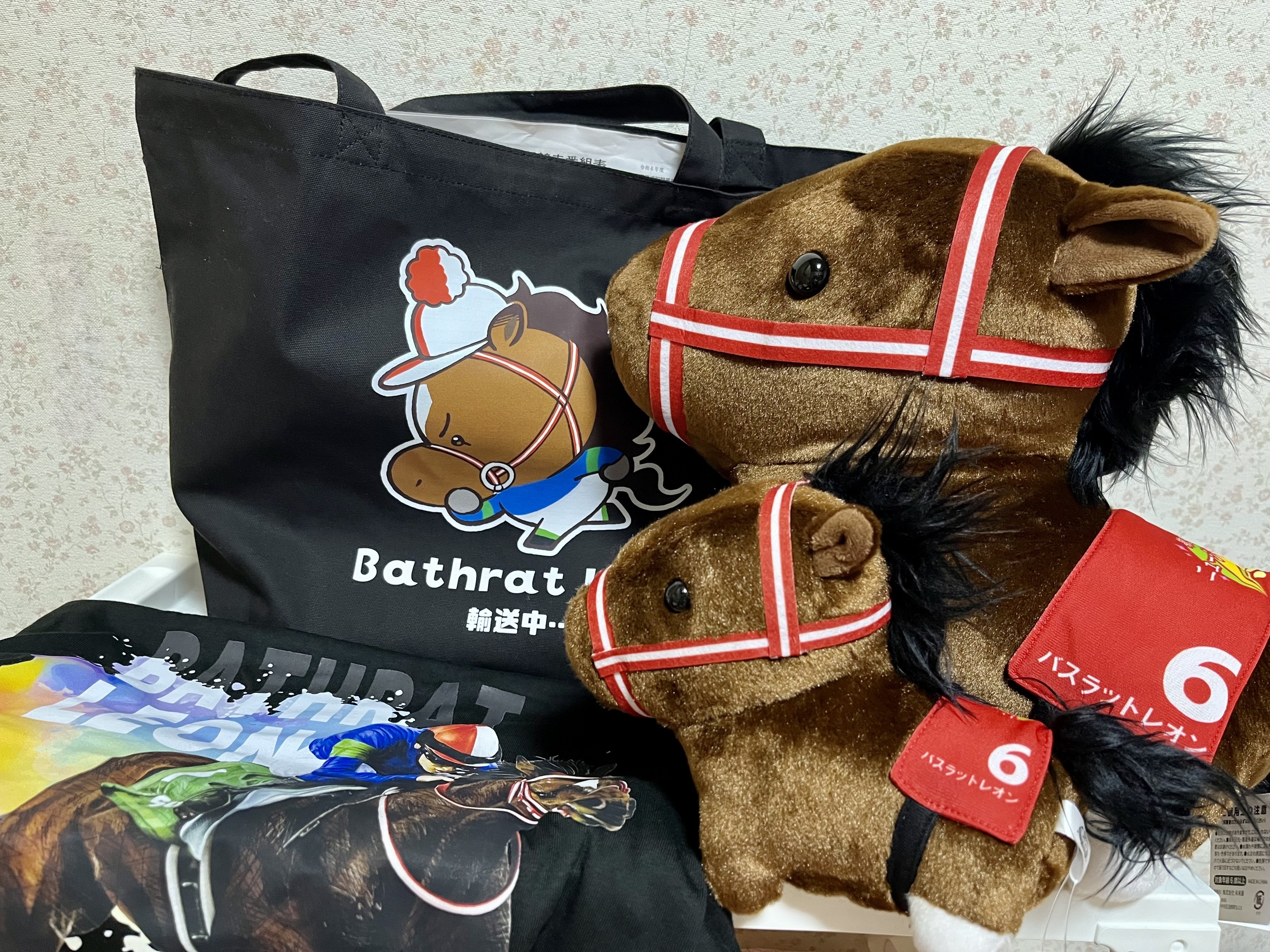 バスラットレオンと私④｜ぽてち