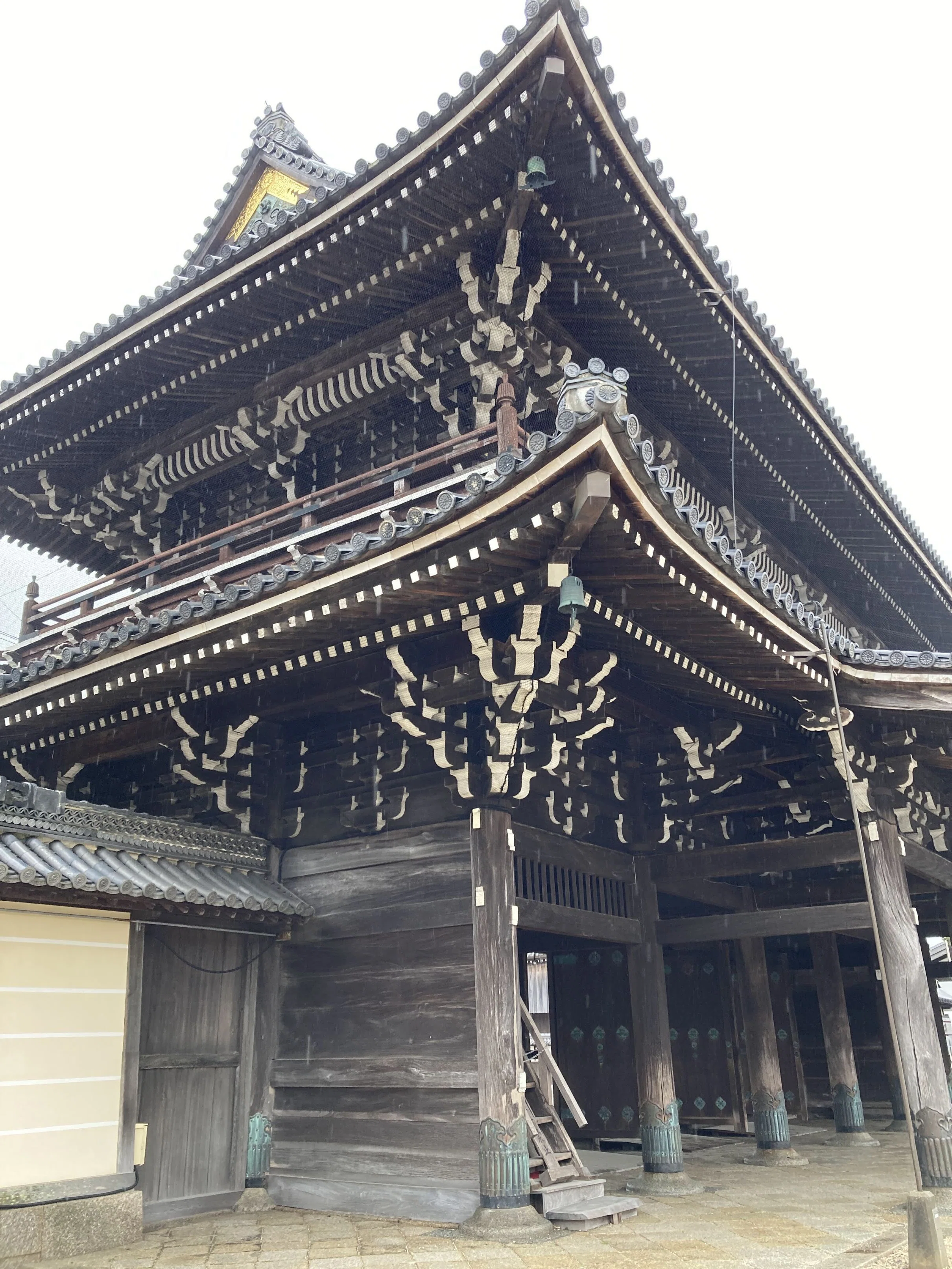 真宗高田派本山 専修寺｜スナフキンの友達