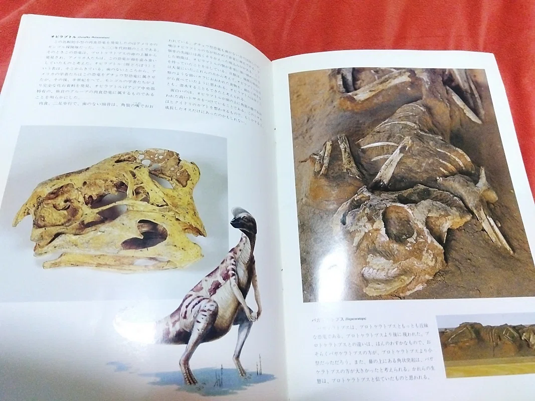 これ何だっけ？「ゴビ砂漠 大恐竜展」(1985年)パンフレット｜みやも