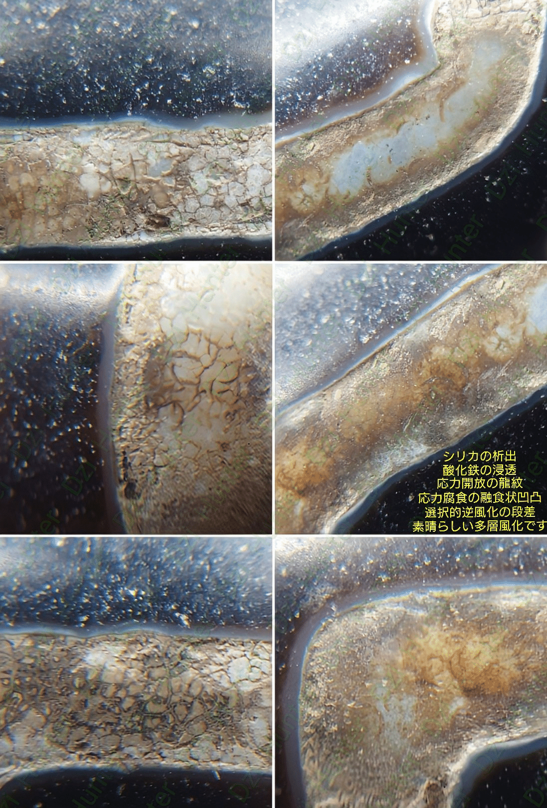 老天珠 ​#西藏天珠 ​#至純天珠 ​ ​#古美術​#傳世品 ​#考古学​#歴史考察