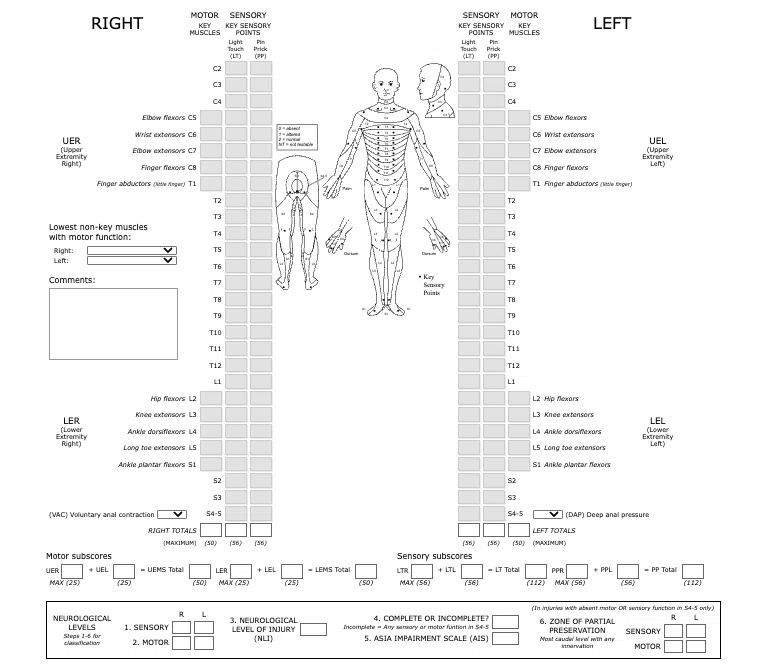[Prognostic Prediction for Spinal Cord Injury] Are you utilizing the ...
