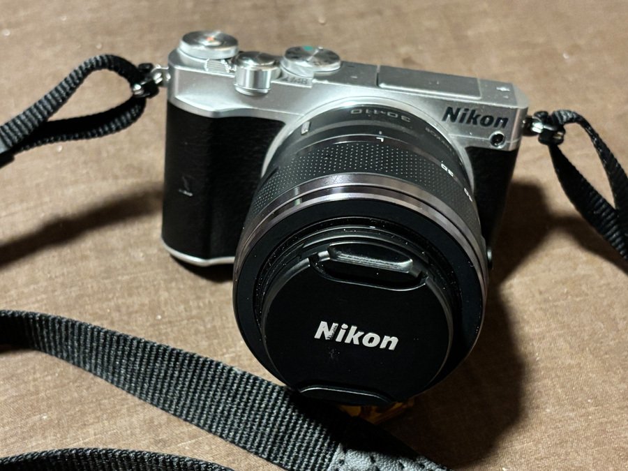 ミラーレス一眼】Nikon1 J5で梅を撮影。｜香澄真樹那