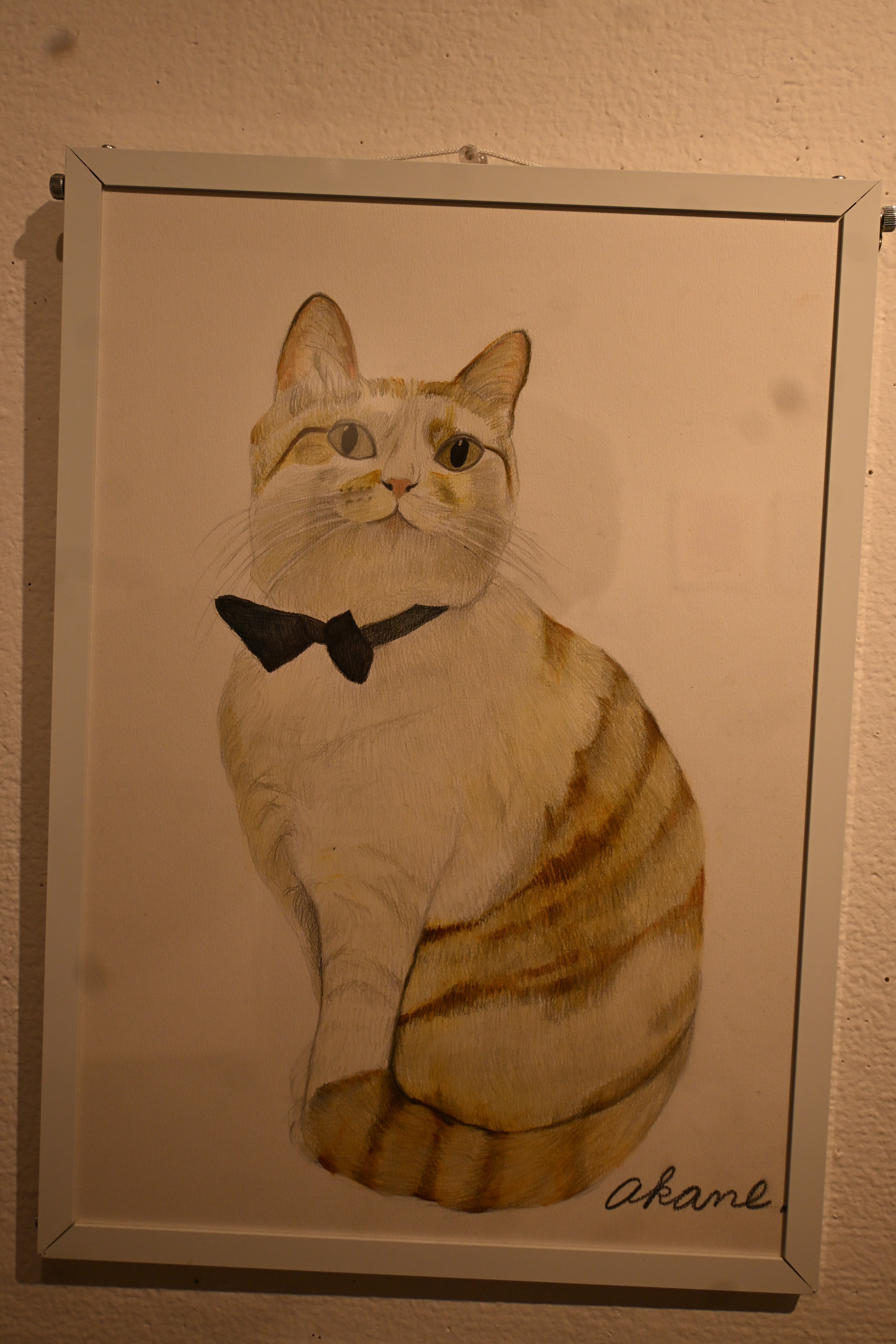 GINZA愛ねこ展に行った！｜桑原亘之介