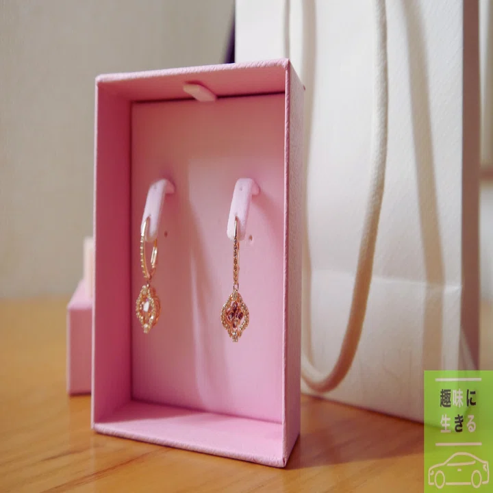 ただの安物？】スワロフスキーのピアスを買ってみた｜今井蒼 / 家電と