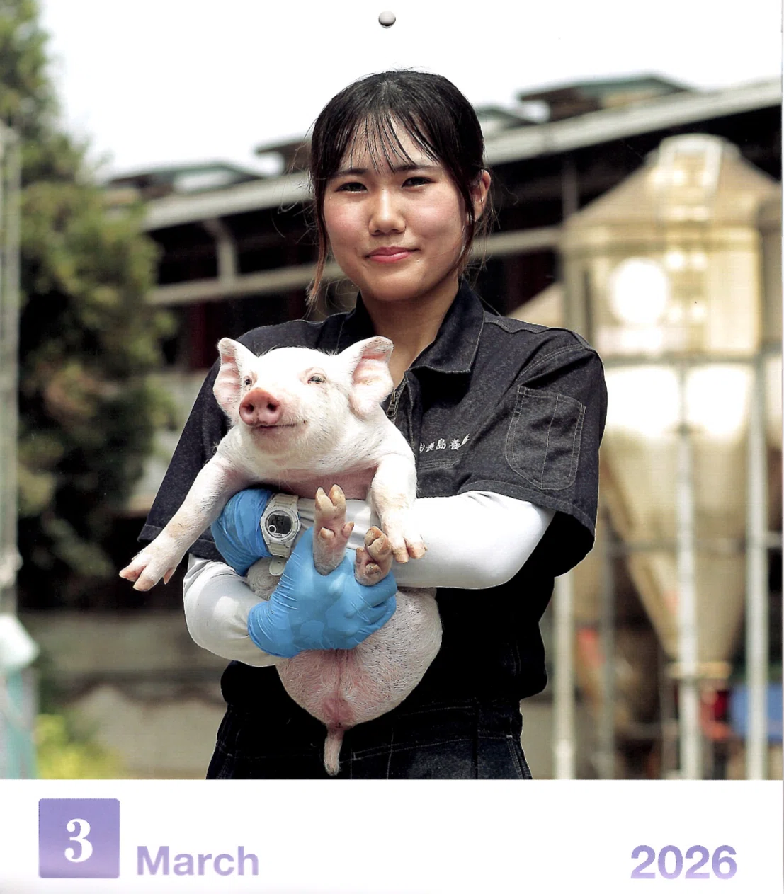 雑誌「養豚界」2026年3月カレンダー｜野猿（やえん）