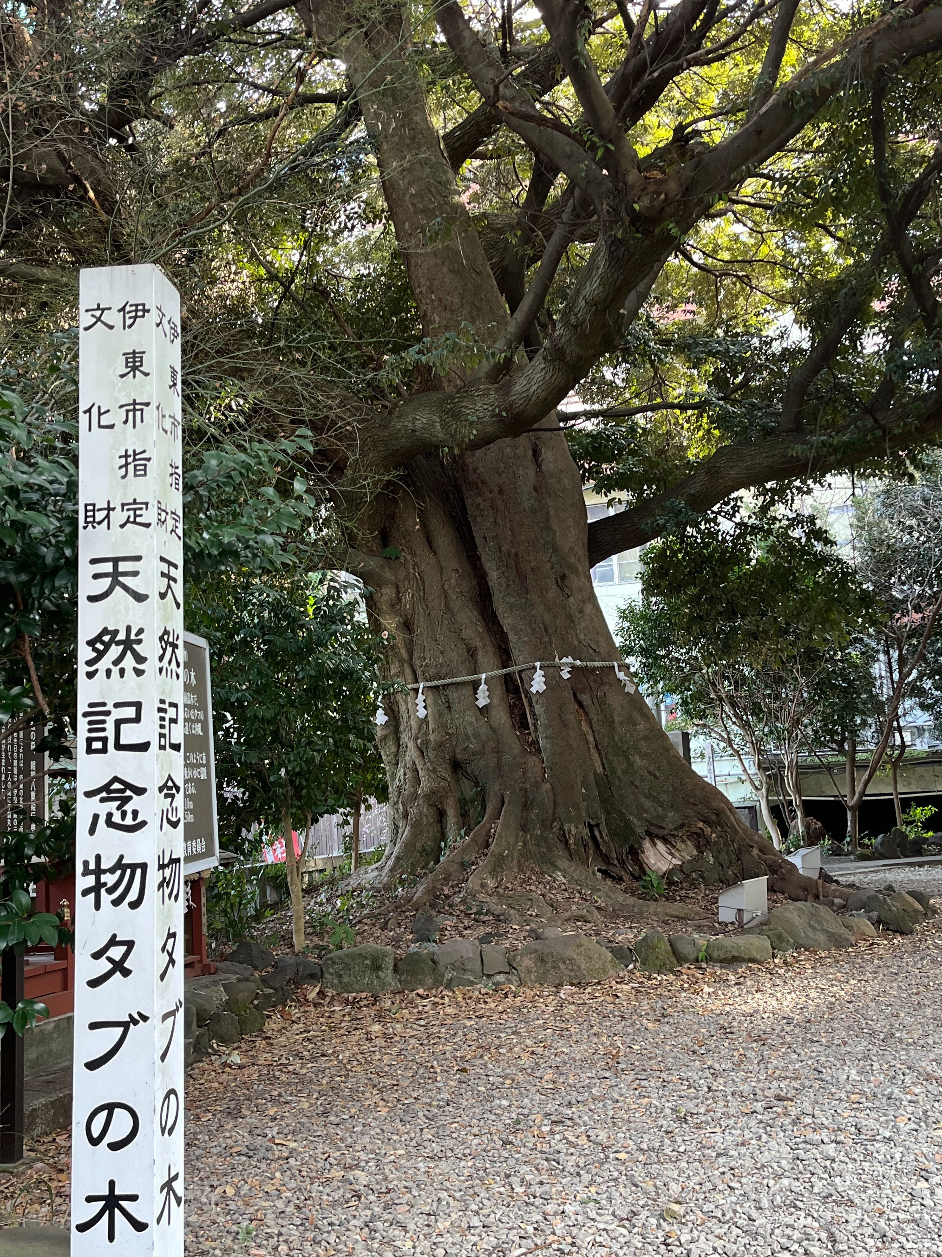 伊東 Ⅱ｜あーこ