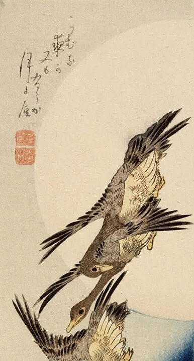 月に雁　版画 花鳥版画展」出品作④歌川広重《月に雁》天保3-6（1832-35）年｜毎日