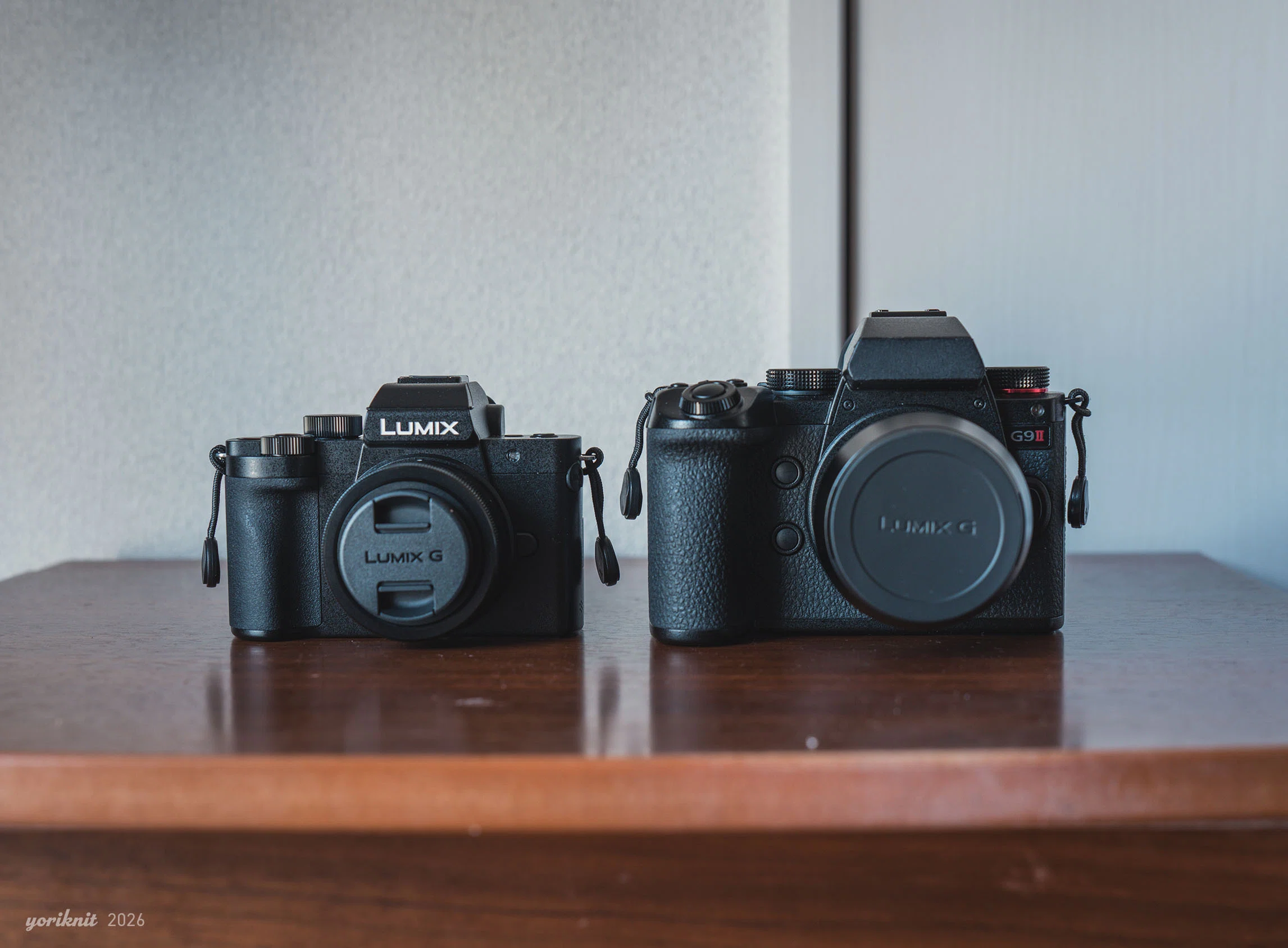 私の “L” ブーム ｜ Lumix G100D｜yoriknit