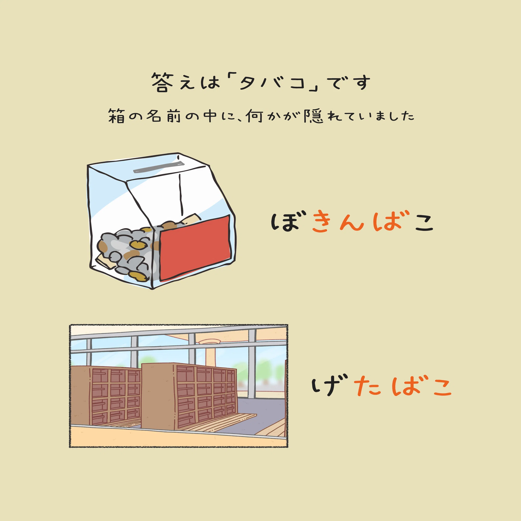 芹沢謎【1257】｜芹沢仁菜