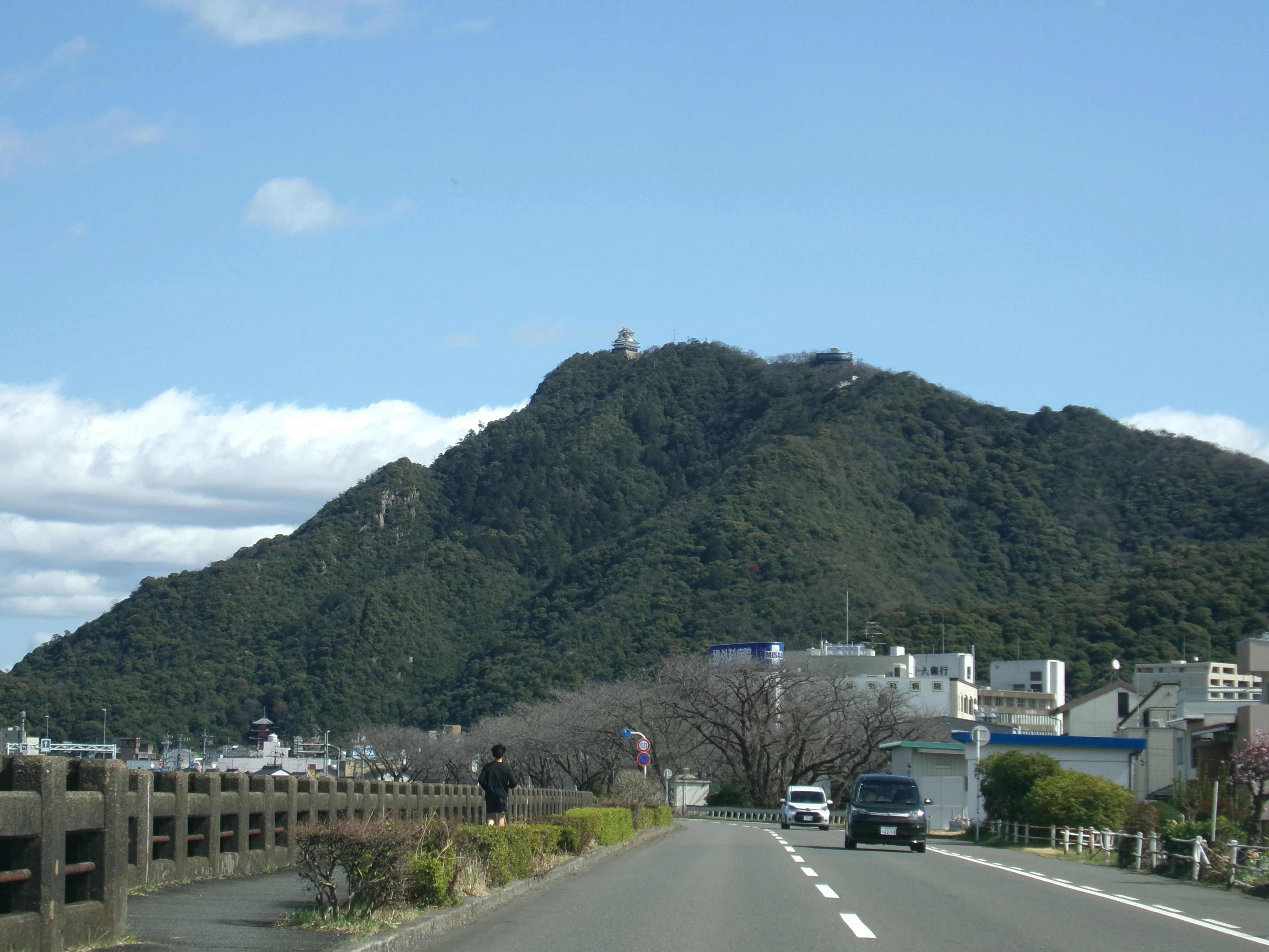各務原アルプスへ 寒風でも日差したっぷりのどんぐり山 とっても高度感