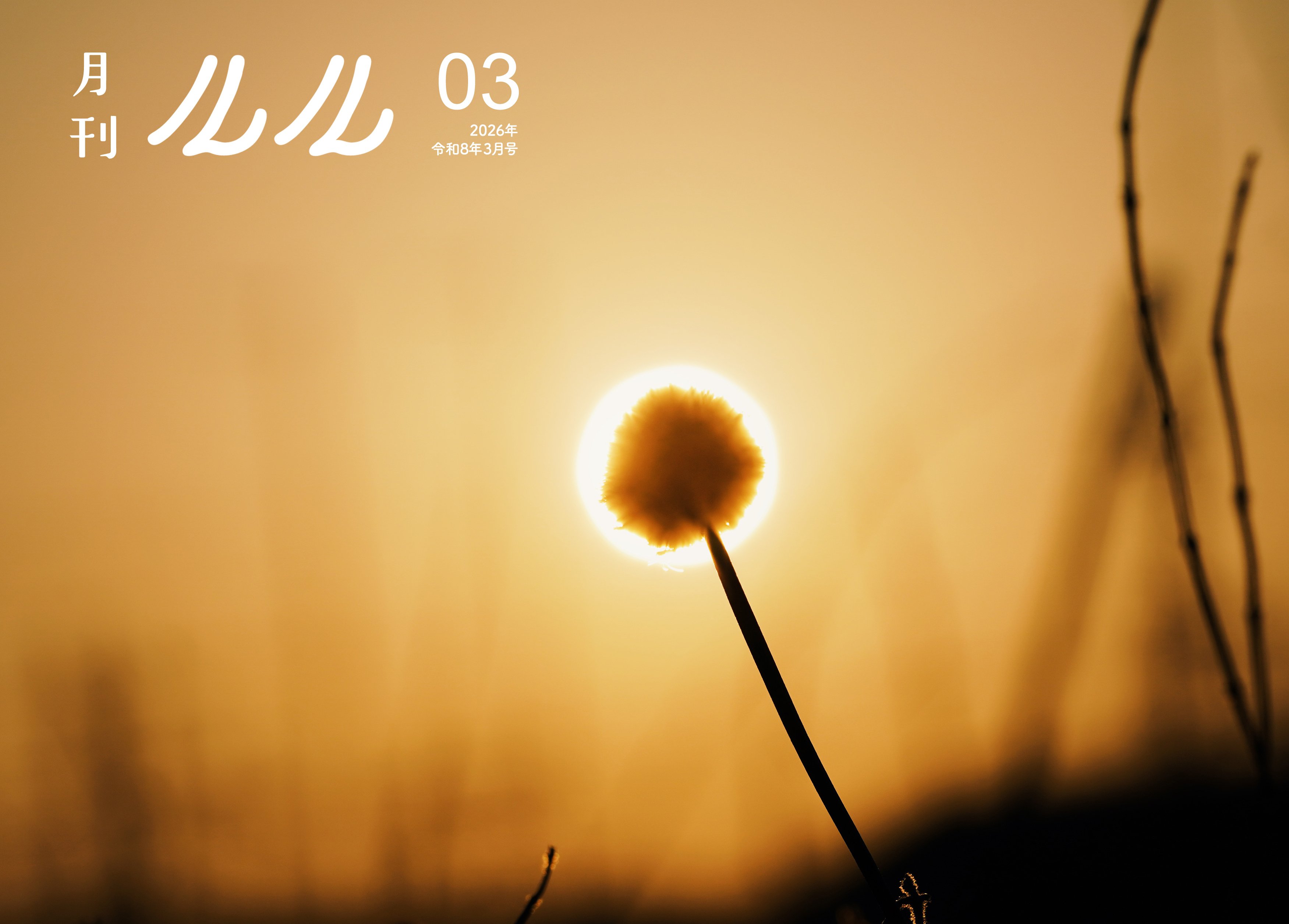 2026年3月号「太陽」#012｜るる