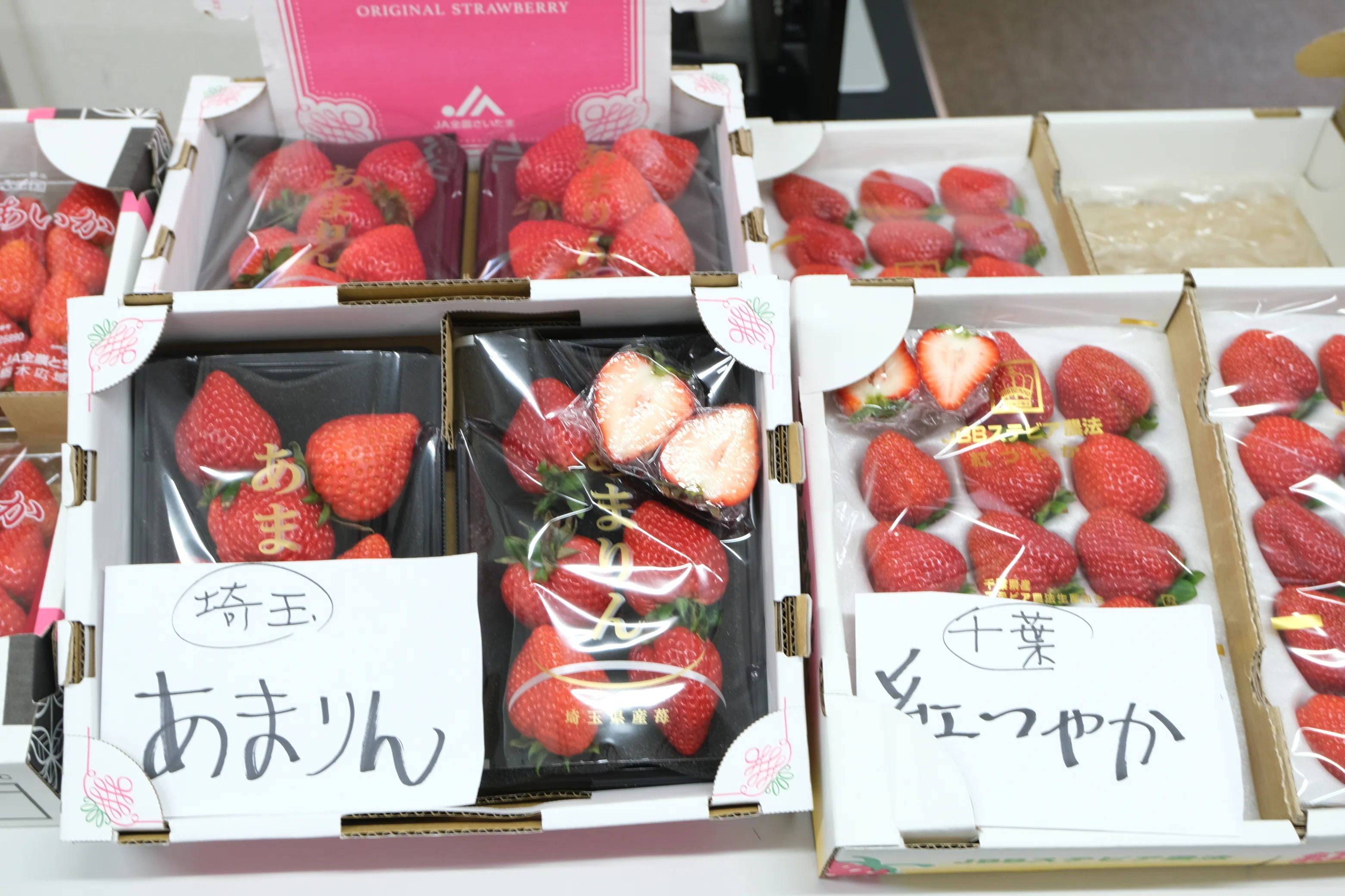 イチゴ‼️おまとめです‼️ 八百屋塾レポート】 勉強品目：いちご（2026/2/15開催）｜八百屋塾