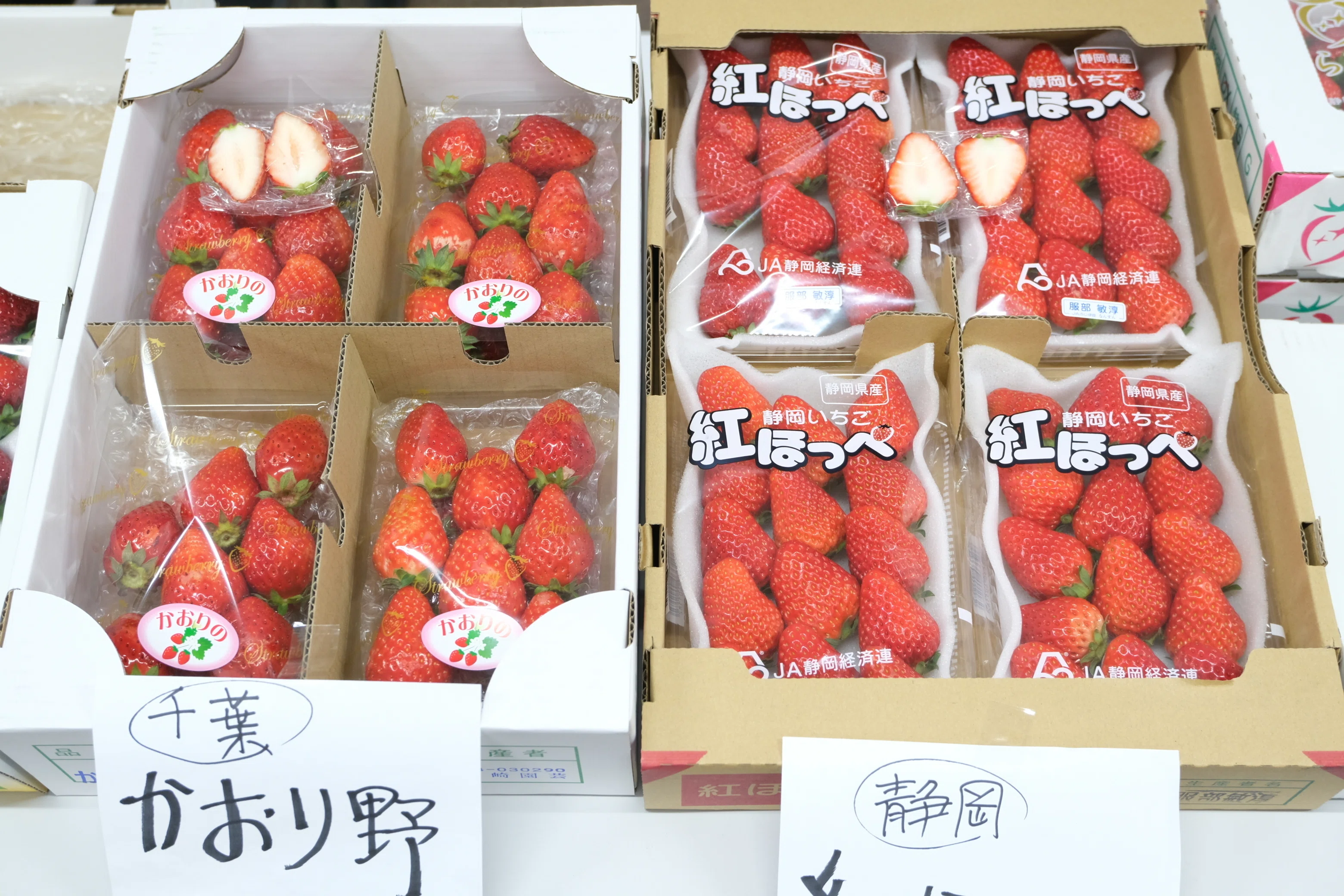 八百屋塾レポート】 勉強品目：いちご（2026/2/15開催）｜八百屋塾