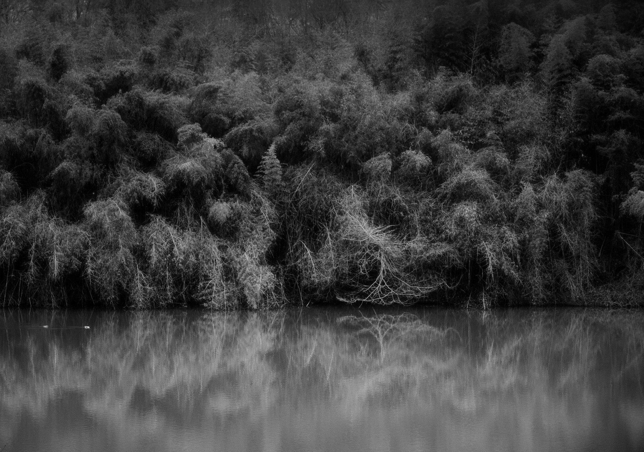 ベスト写真 : 2026年2月 モノクロ｜fueda218