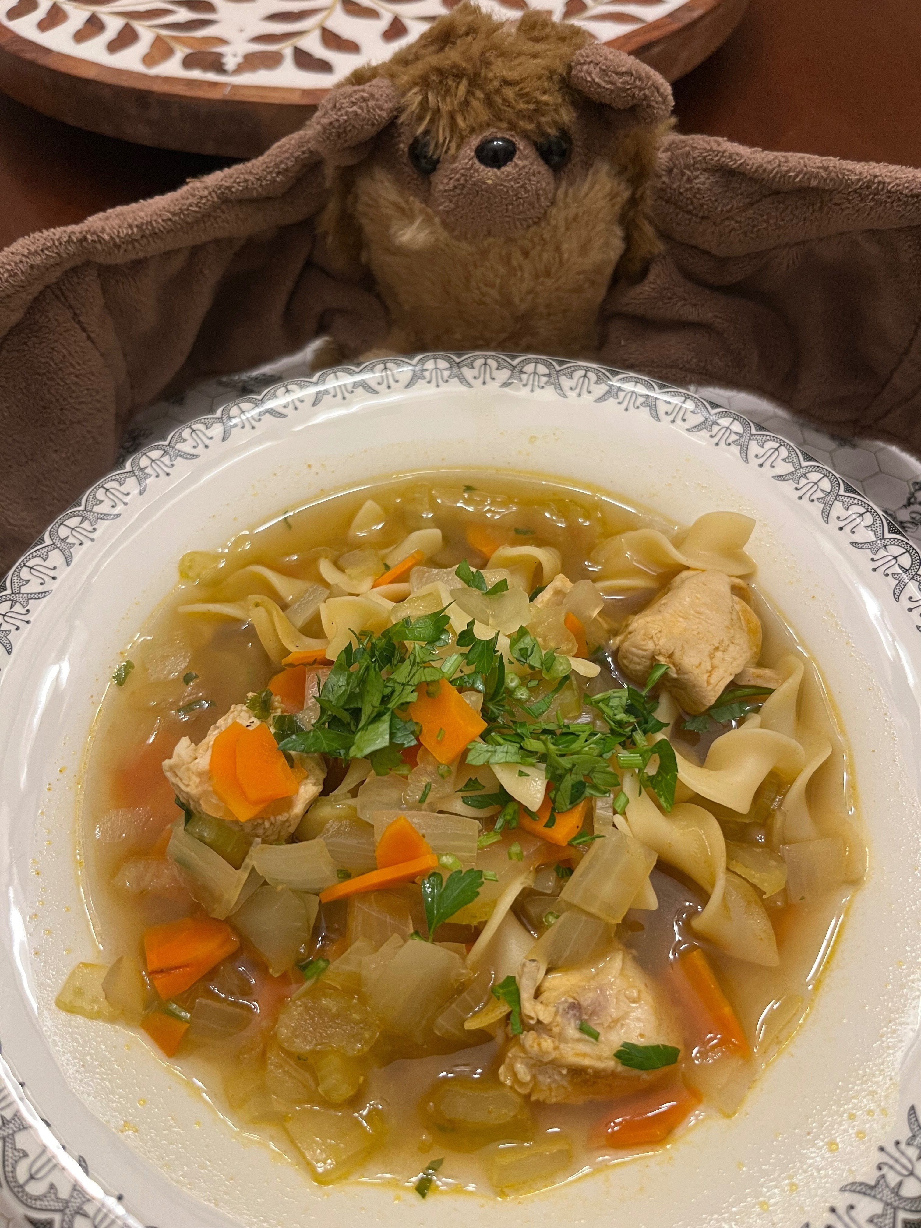 風邪ぎみの日に＊チキン・ヌードル・スープ｜21 Boys & 野鳥