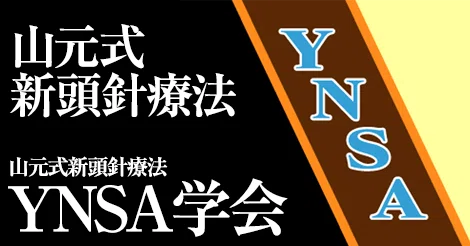 YNSA（山元式新頭鍼療法）とは？― 脳と神経から整える、新しい鍼治療