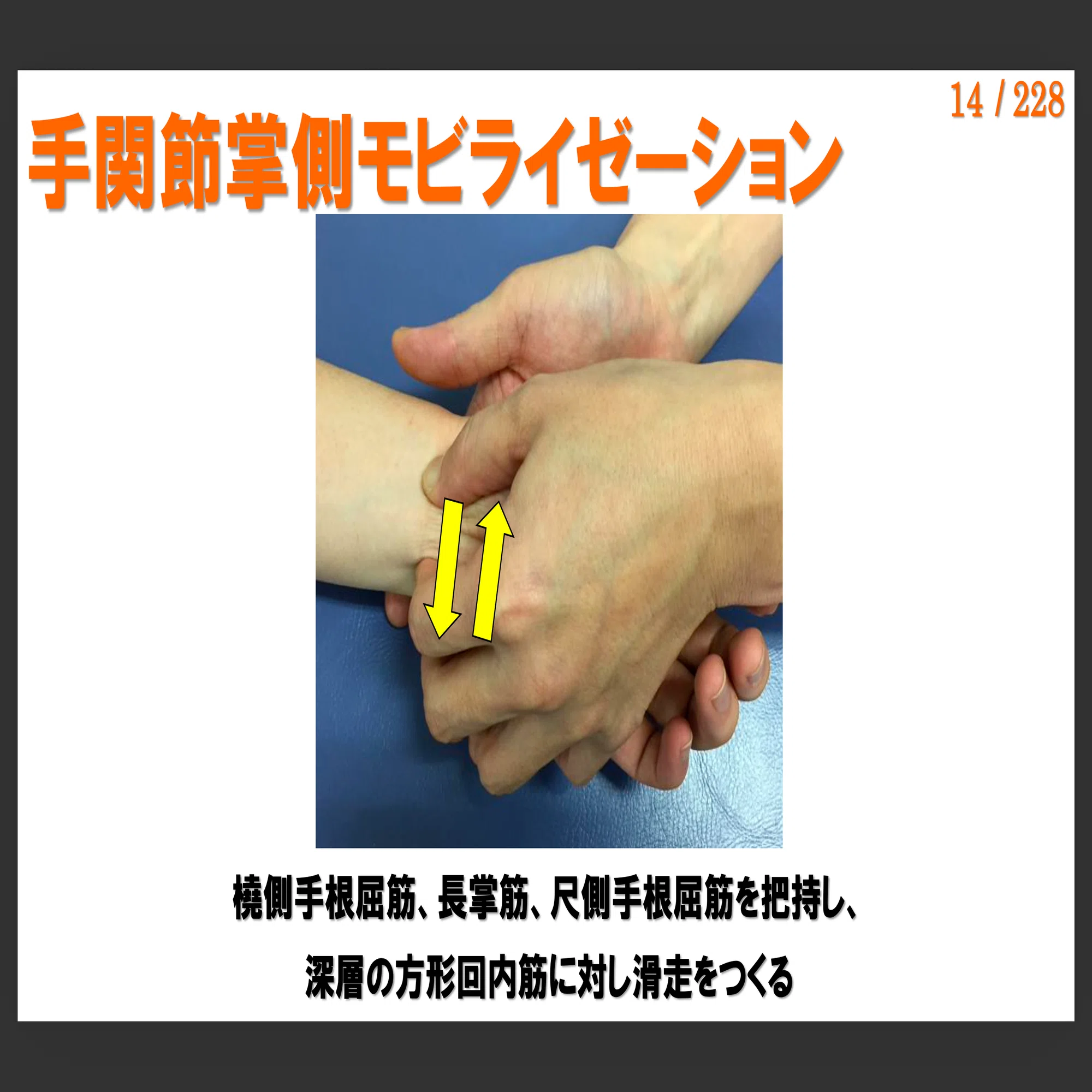 有料動画】手関節の解剖/生理/運動学｜Conditioning Room-S