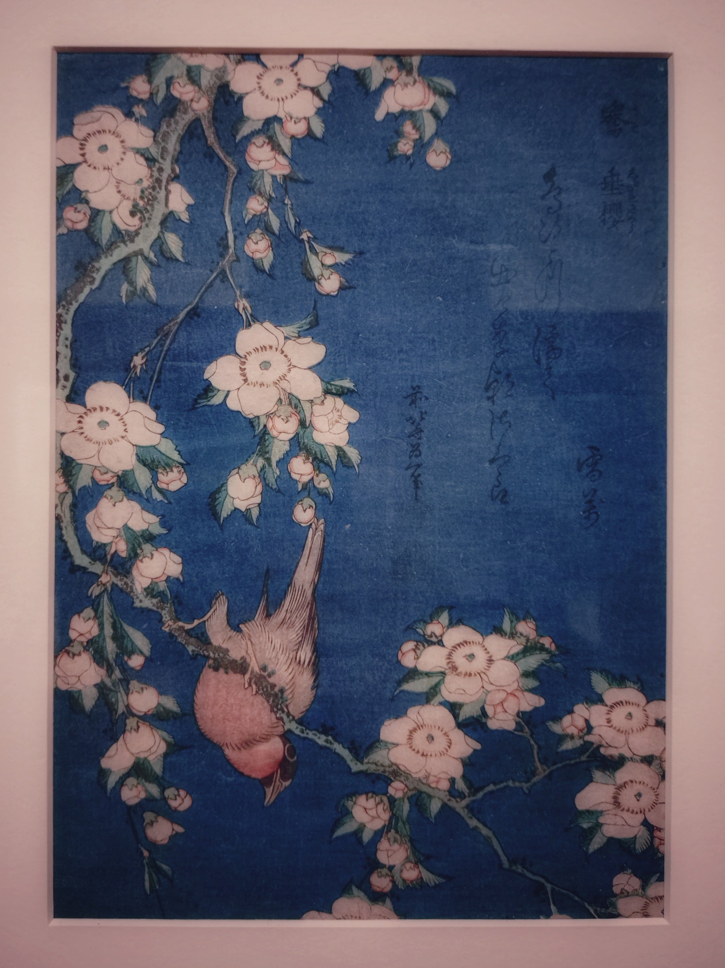 ◯Art：花鳥版画と水墨画の世界｜May.chang