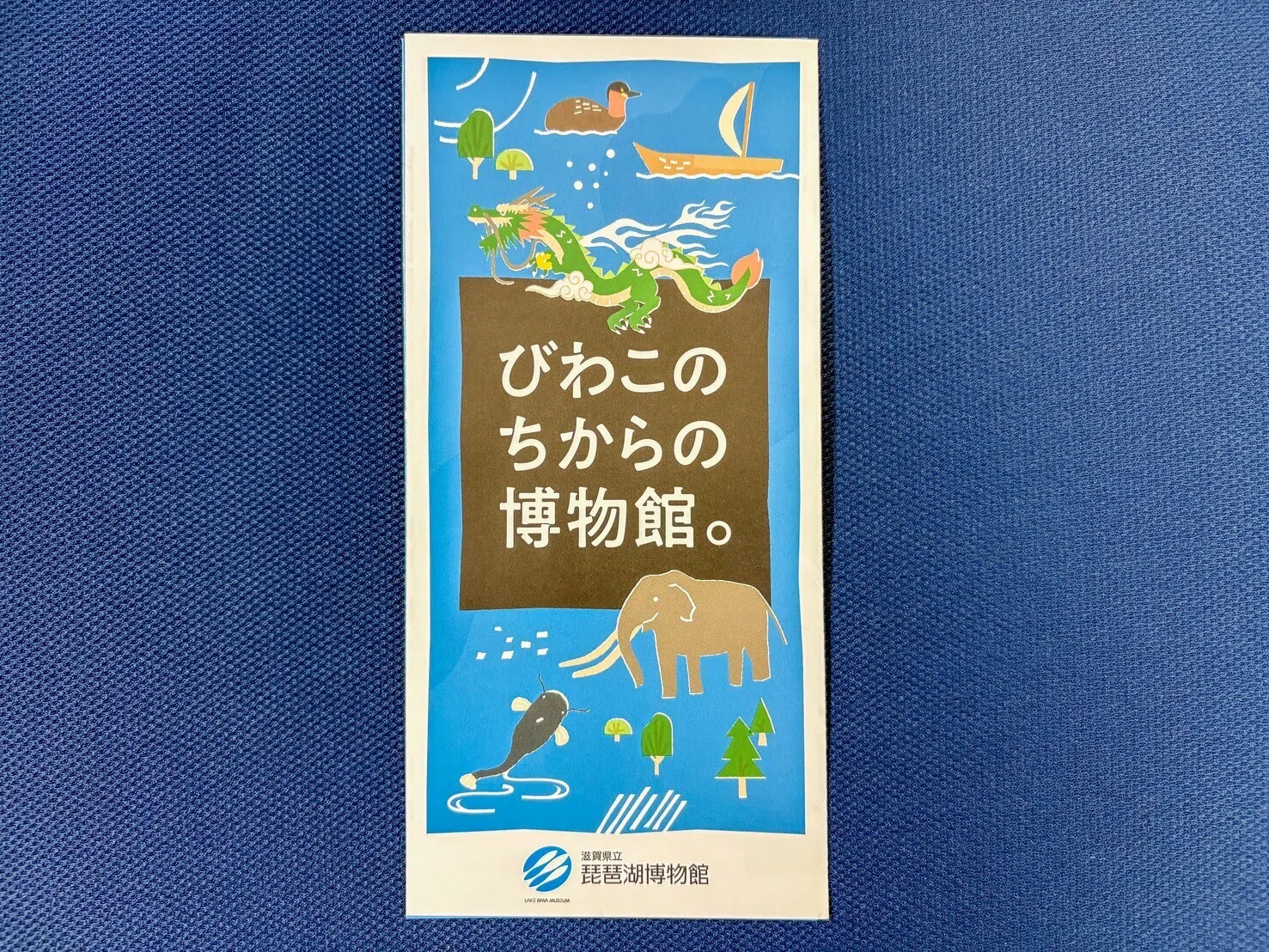 レポ#83 琵琶湖博物館｜haru