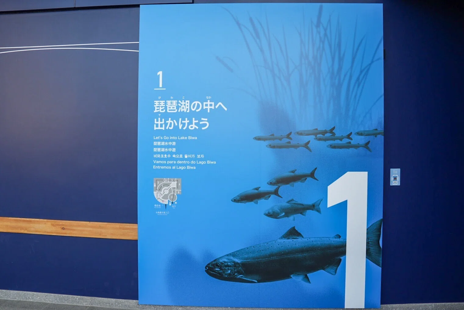 レポ#83 琵琶湖博物館｜haru