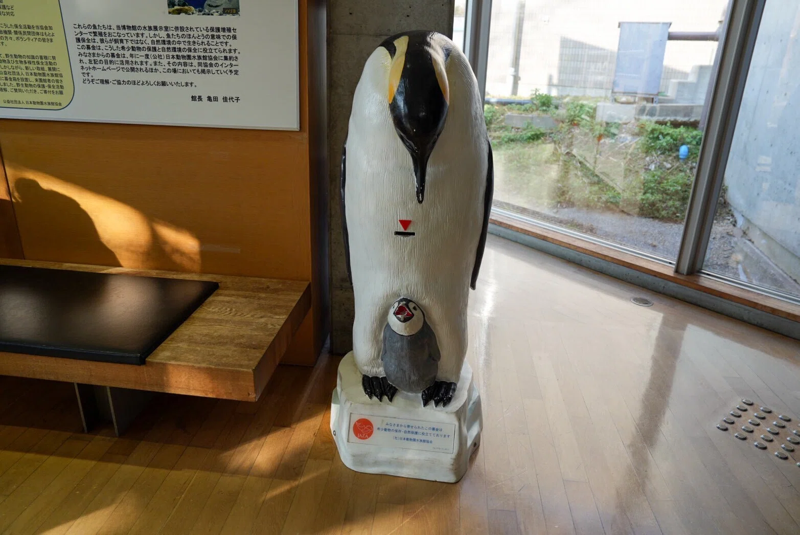 平面水族館 琵琶湖博物館 バラ売り可 滋賀県立琵琶湖博物館】Part3