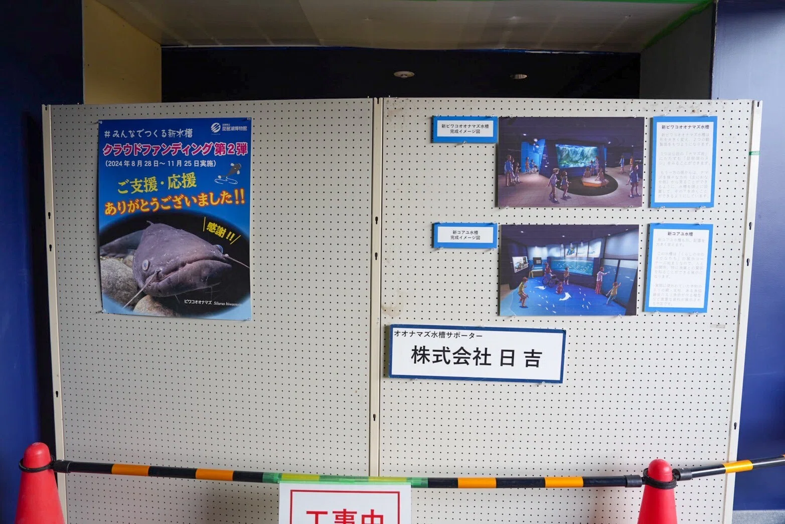 平面水族館 琵琶湖博物館 バラ売り可 滋賀県立琵琶湖博物館】Part3