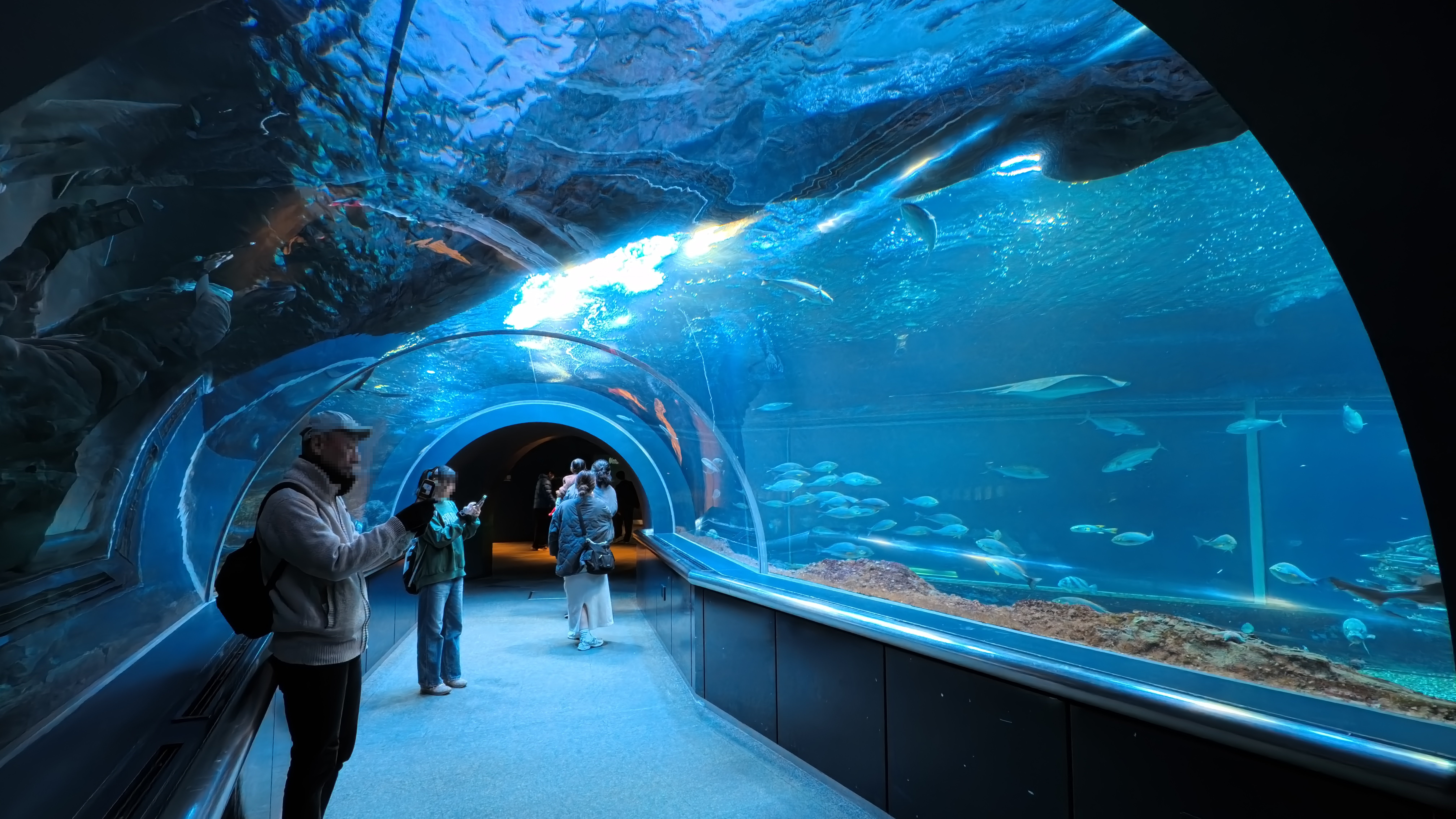 新潟市水族館 マリンピア日本海｜パイネコ