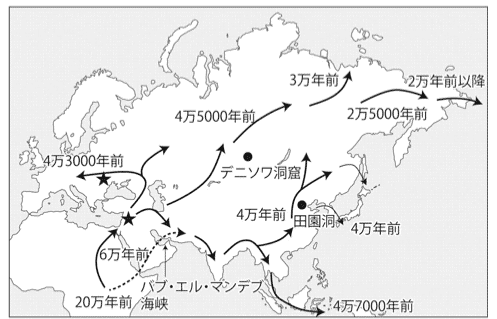 1-1-9 ホモ・サピエンスの勝利と新石器時代の始まり｜世界全戦争史年表
